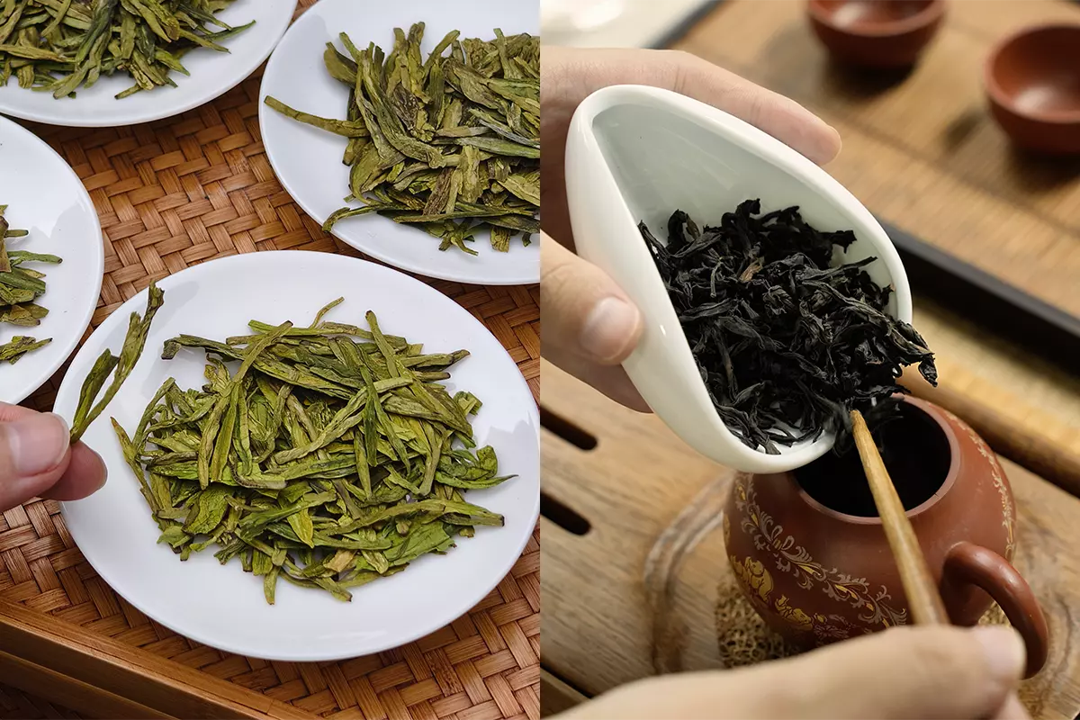 Best Oolong Tea for Green Tea Drinkers