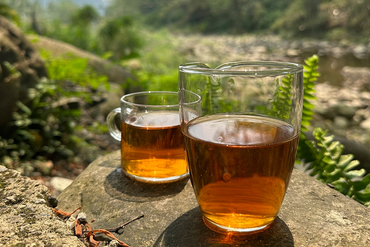 Wildside Tea How does wild Chinese tea travel from the forest to your teacup ...