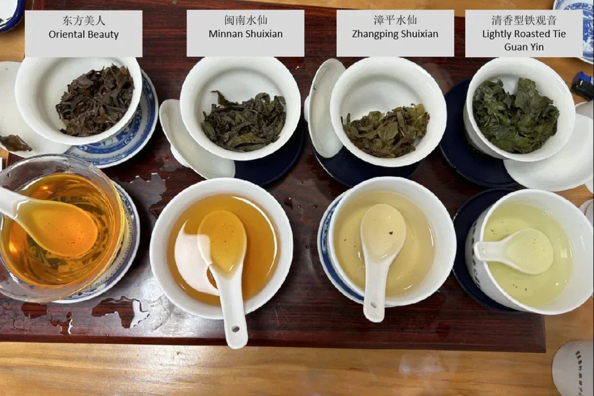 how to choose oolong tea