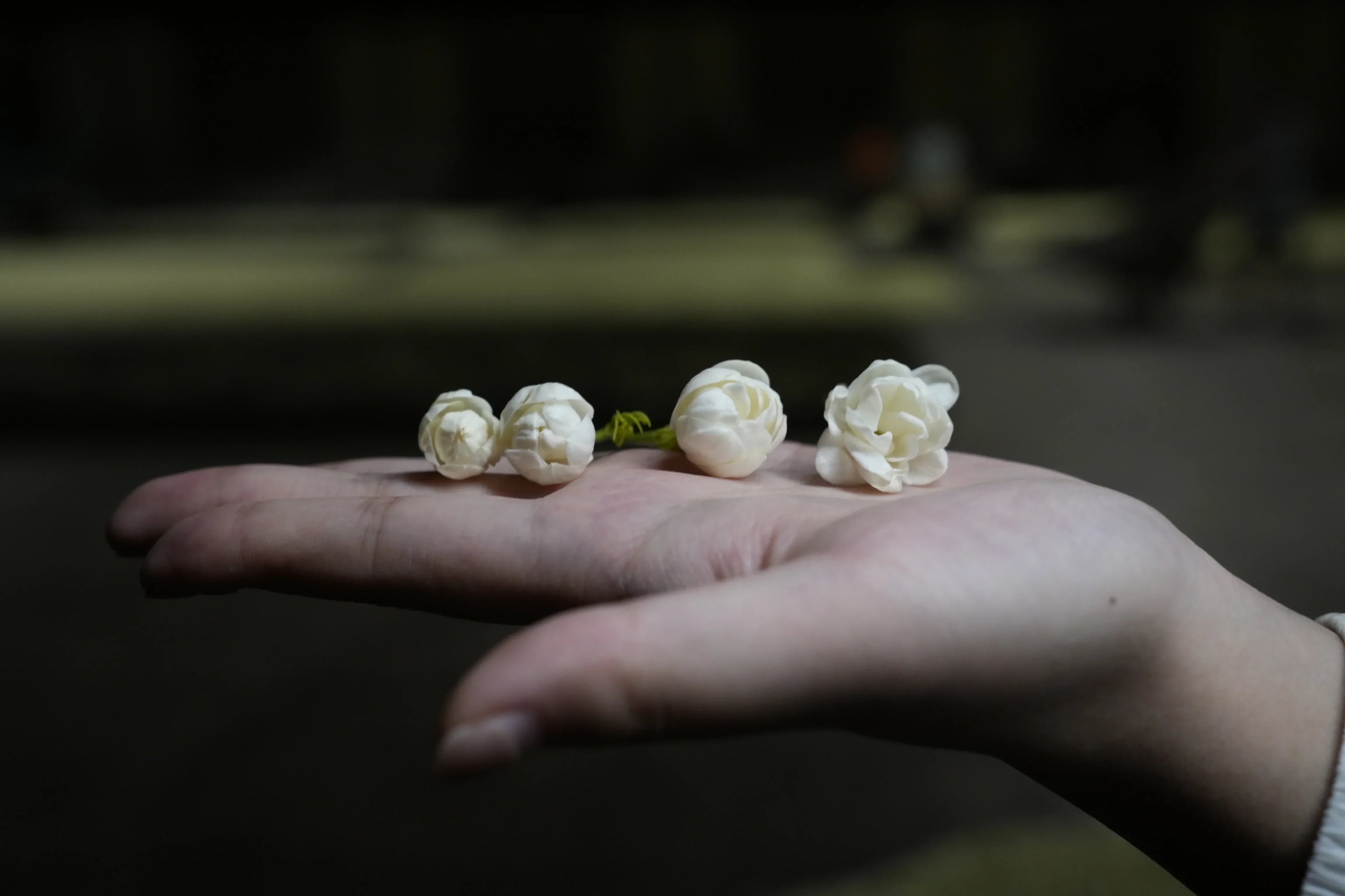 How to Choose Jasmine Tea: Shape, Grade, and Origin