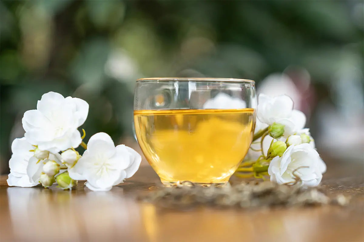 chinese jasmine tea guide