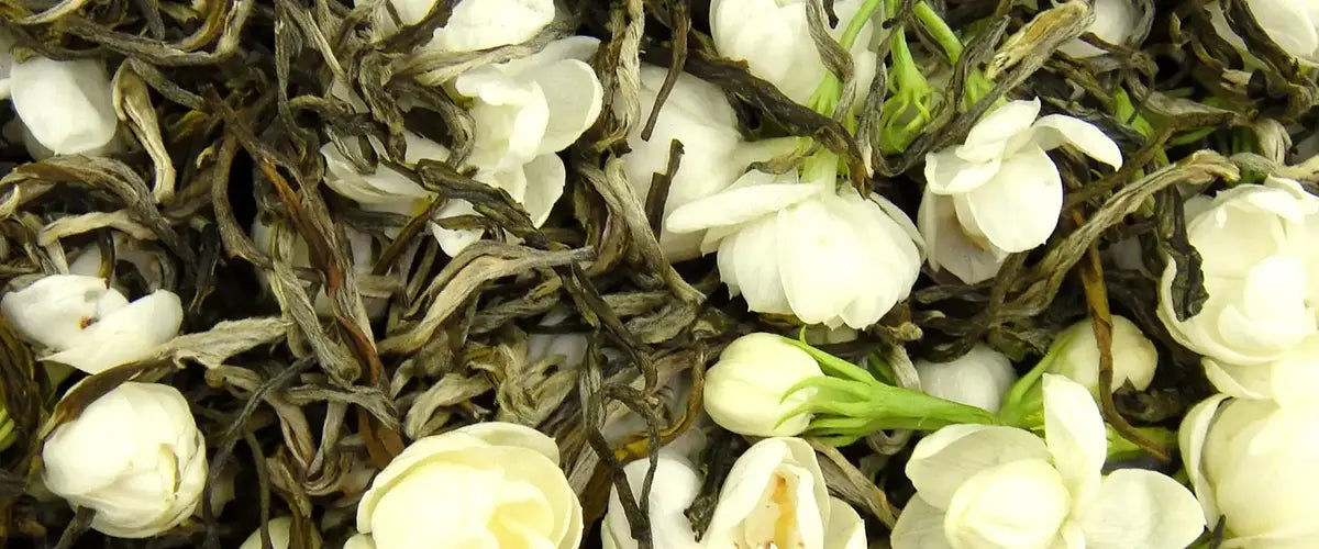 The Health Benefits of Jasmine Tea