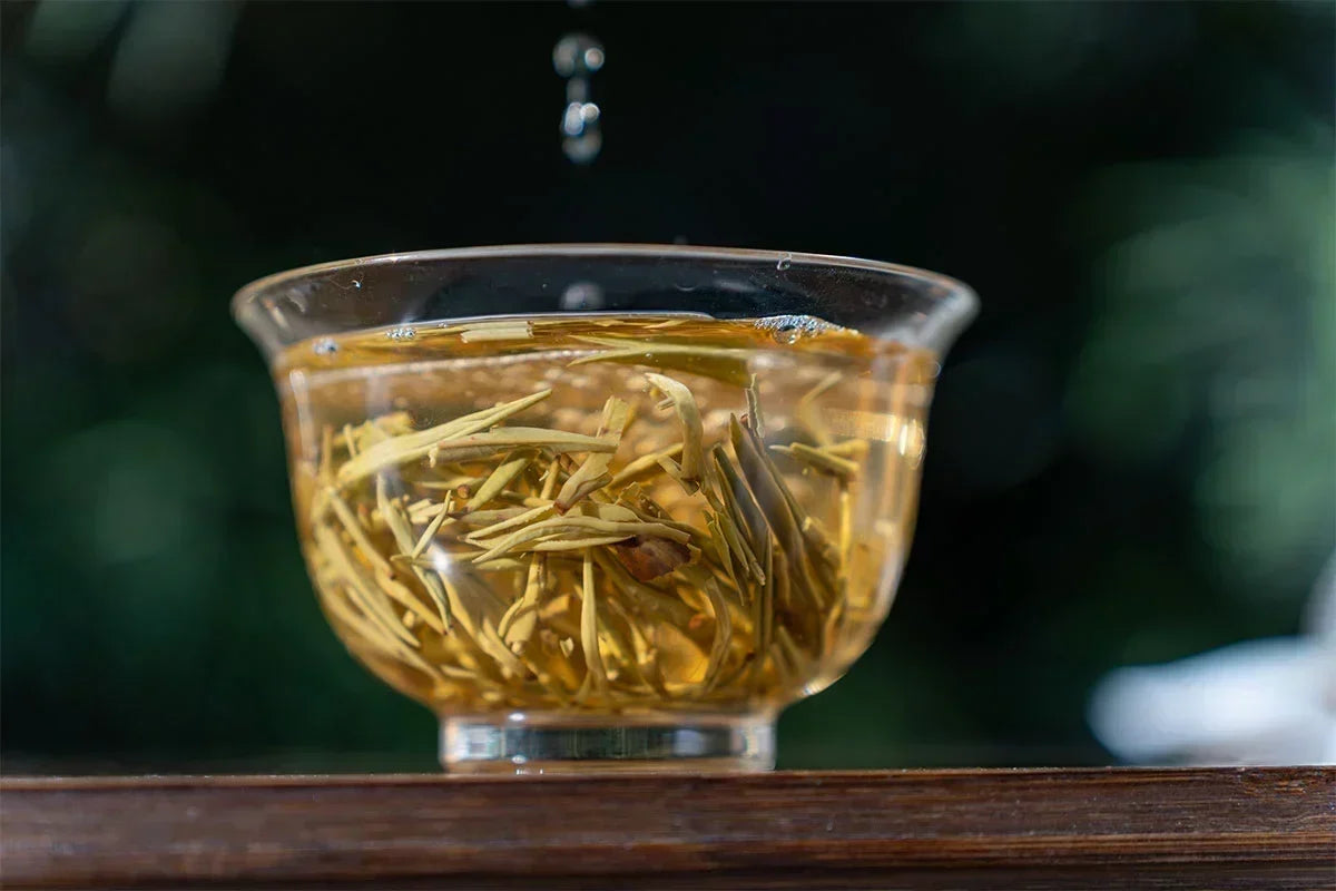What Is Junshan Yinzhen Tea? A Beginner’s Guide to China’s Rare Yellow Tea
