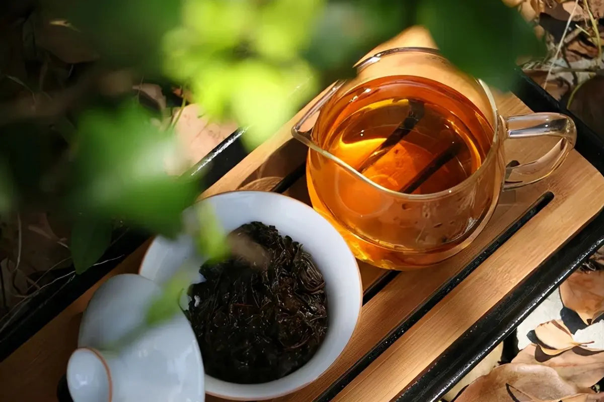 Tea Sampler: Exploring Ancient and Young Black Teas – iTeaworld