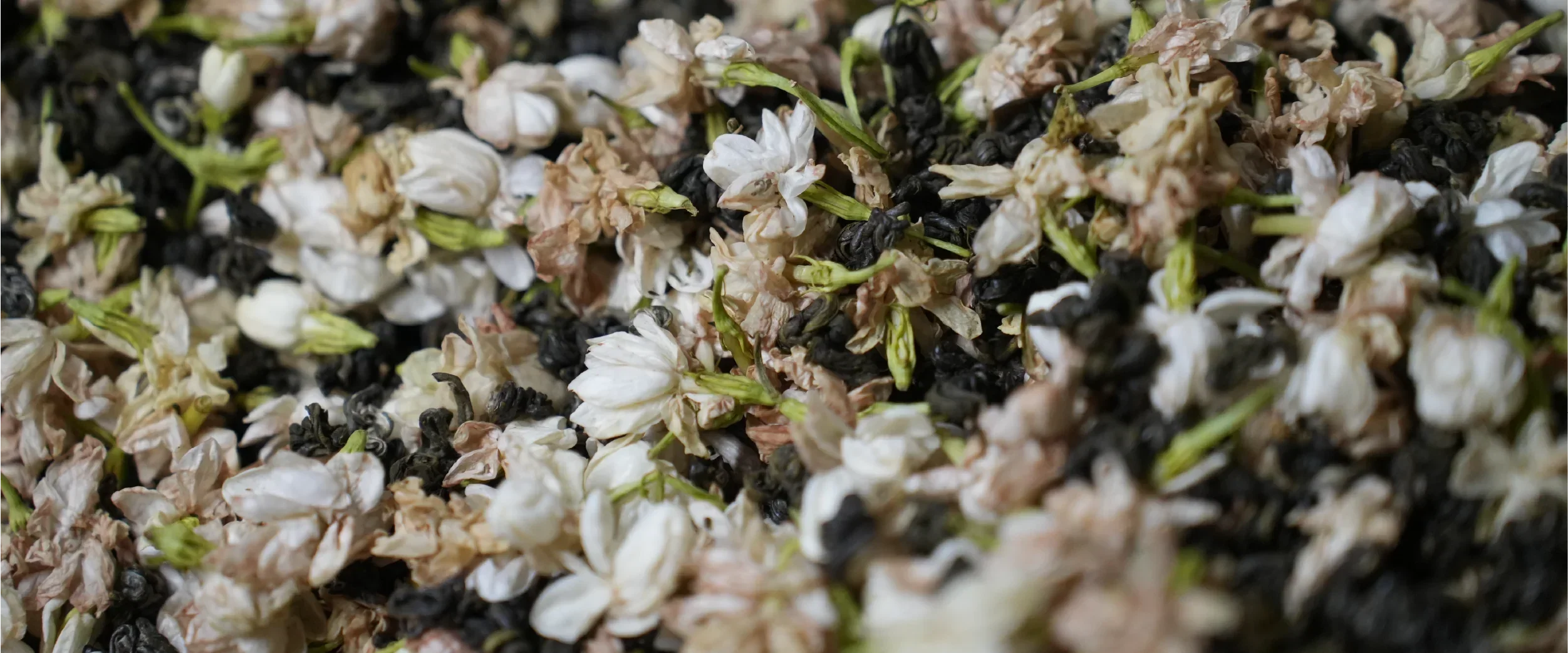 Why Jasmine Tea Comes in So Many Shapes