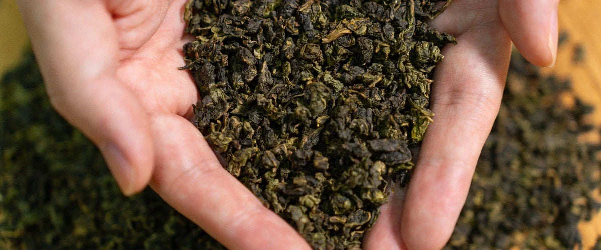 oolong tea for beginners