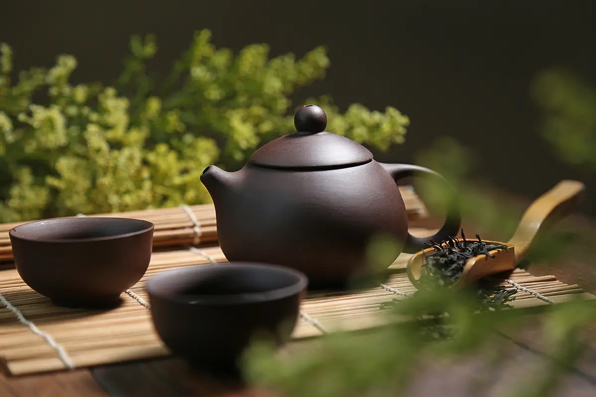 Best Oolong Tea for Beginners