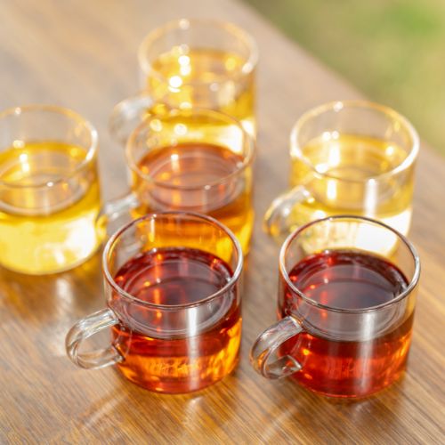 Golden Tea Color Discover the Fascinating World of Tea Colors | iTeaworld