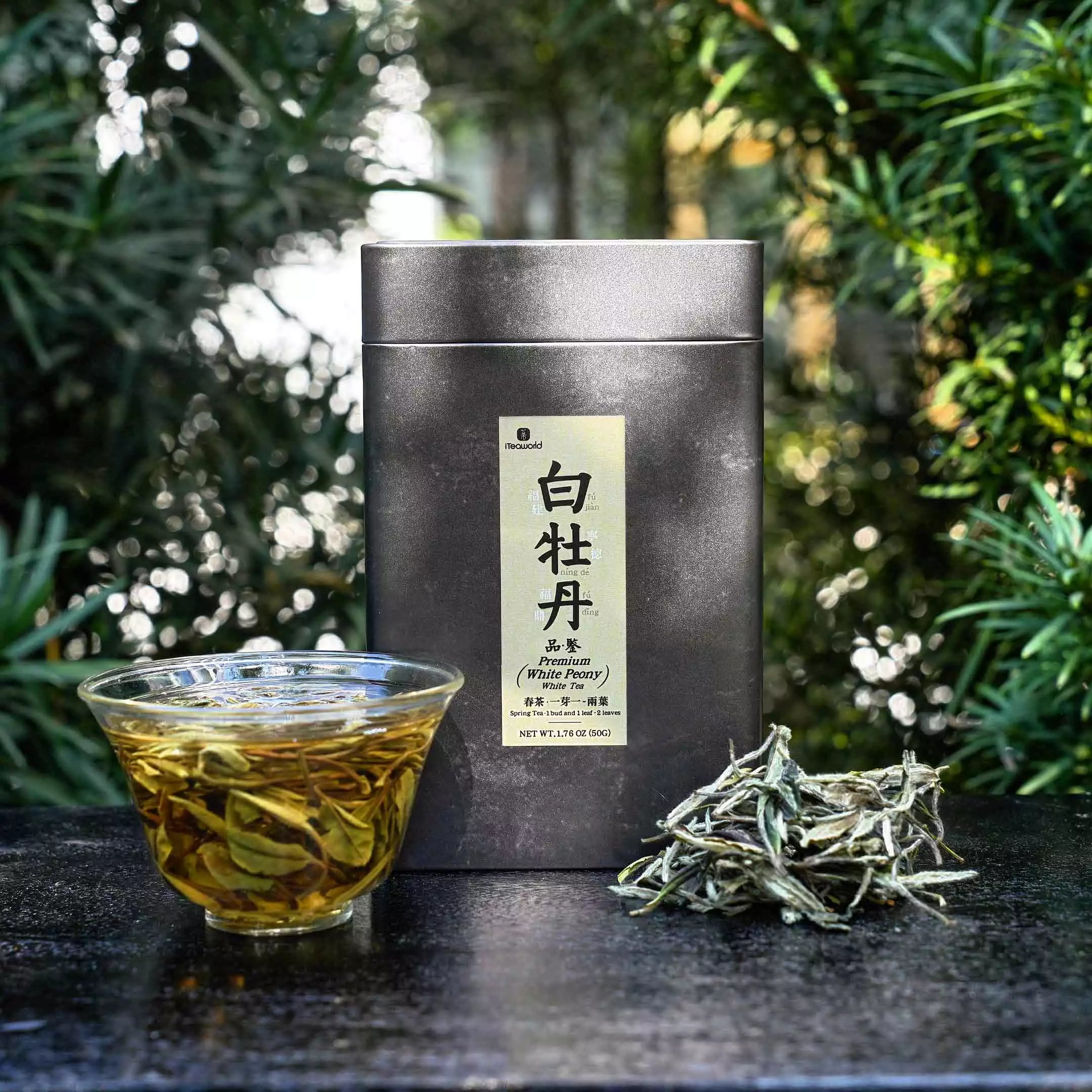 Meet Our Spring Teas