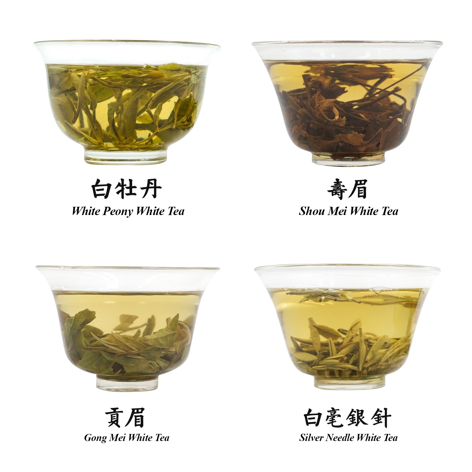 Chinese White Tea Collection Authentic Fuding White Tea with 4 Grades: Includes Silver Needle, White Peony, 2-Year-Old Shou Mei, and 10-Year-Aged Shou Mei.