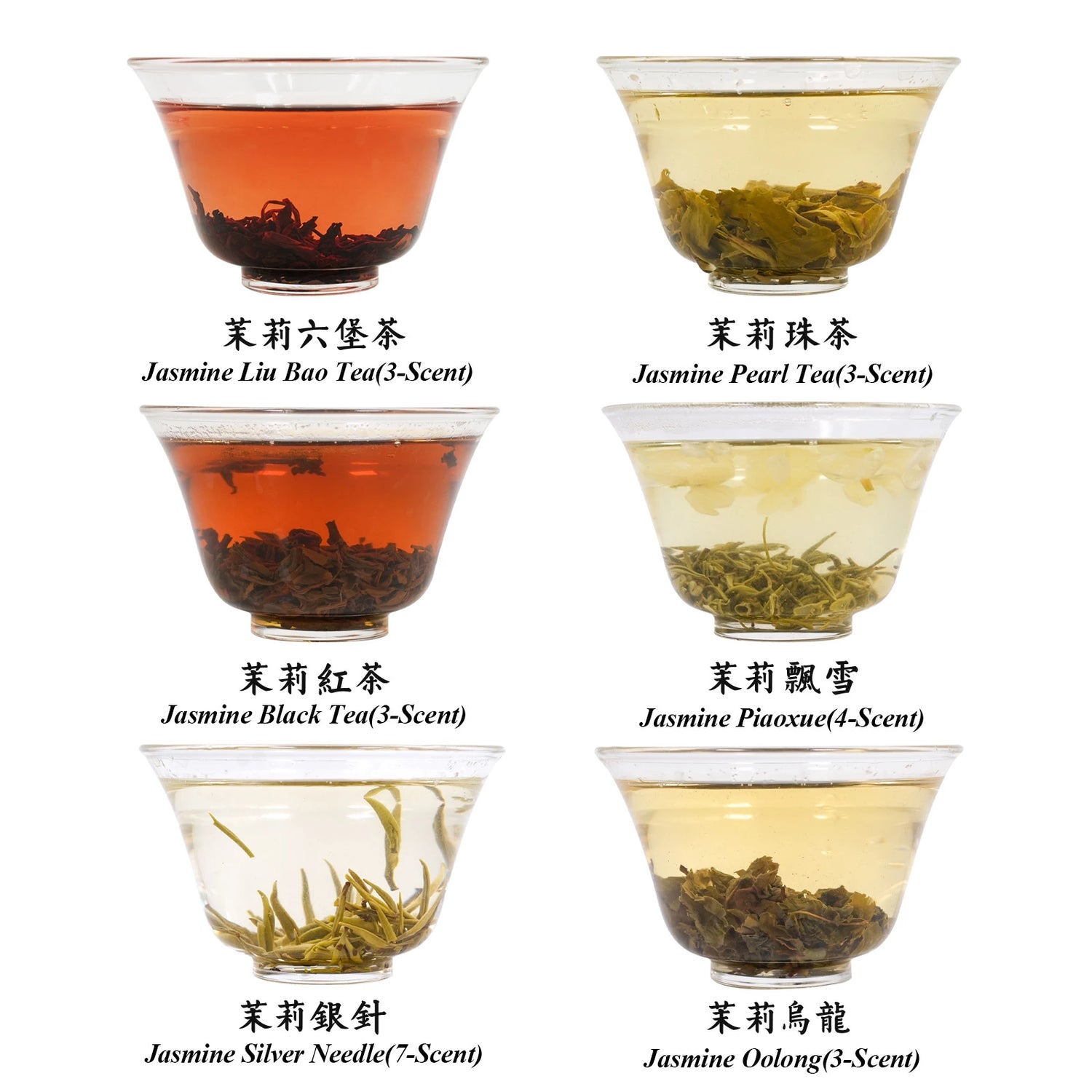 6 Jasmine Tea Sampler – Freshly Scented with 2025 Blossoms