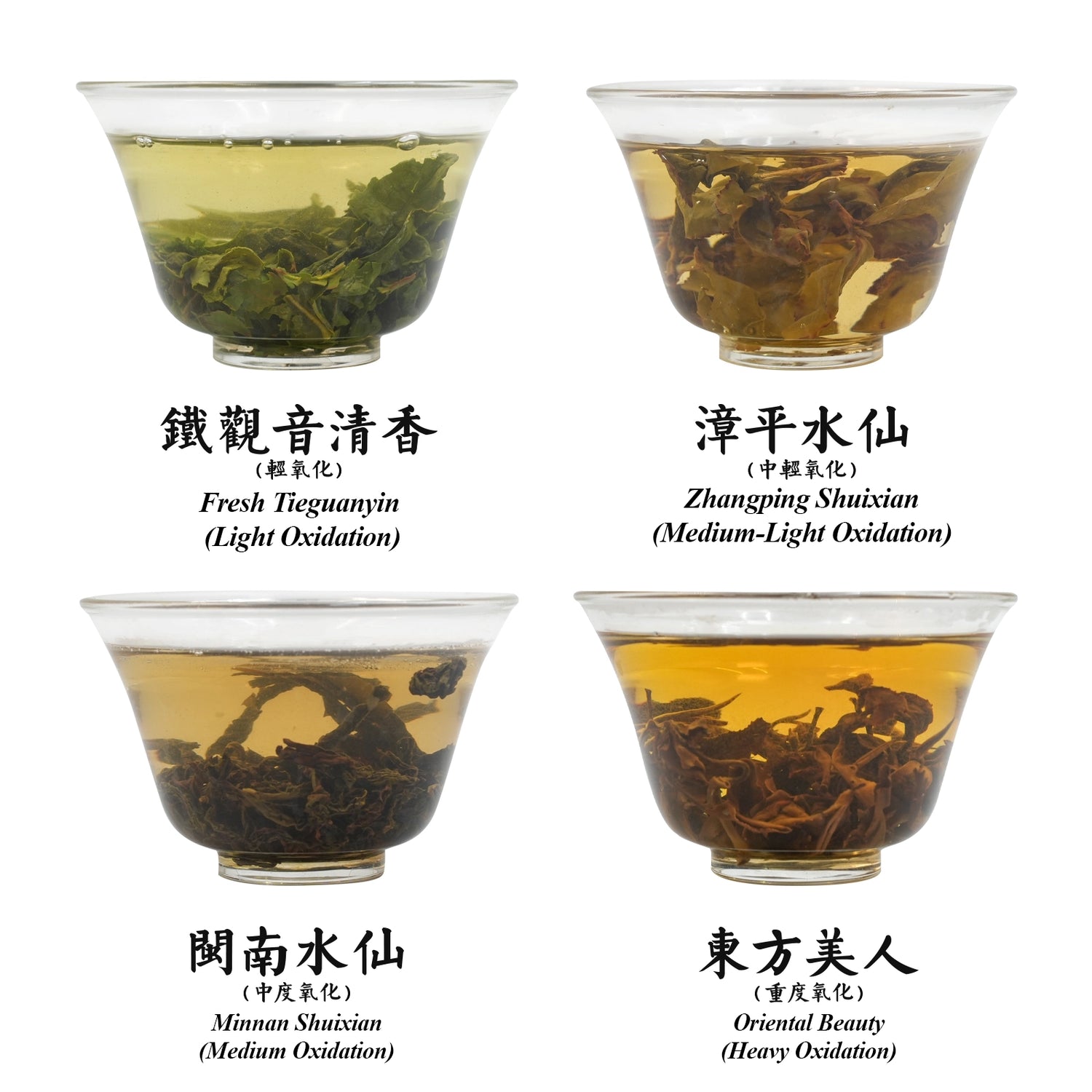 Oolong Tea Comparison Set: 4 Oxidation Levels (Tieguanyin to Oriental Beauty) 80g