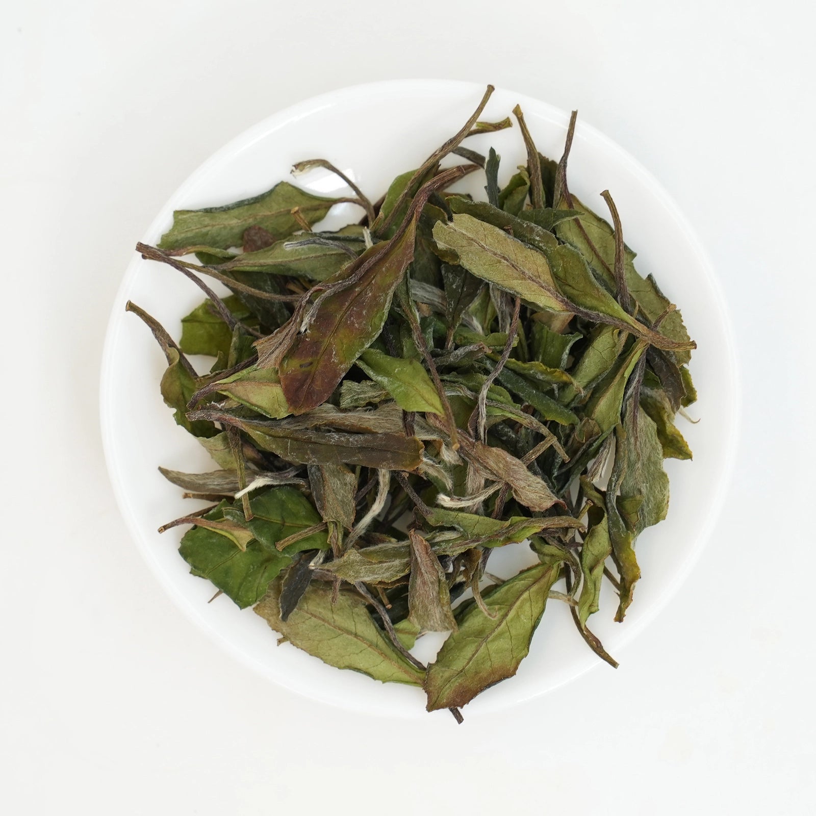 2022 Gong Mei White Tea Authentic Fuding Spring Harvest, First Grade, Heirloom Seed Varietal. Sun-Dried for Long-Term Aging.