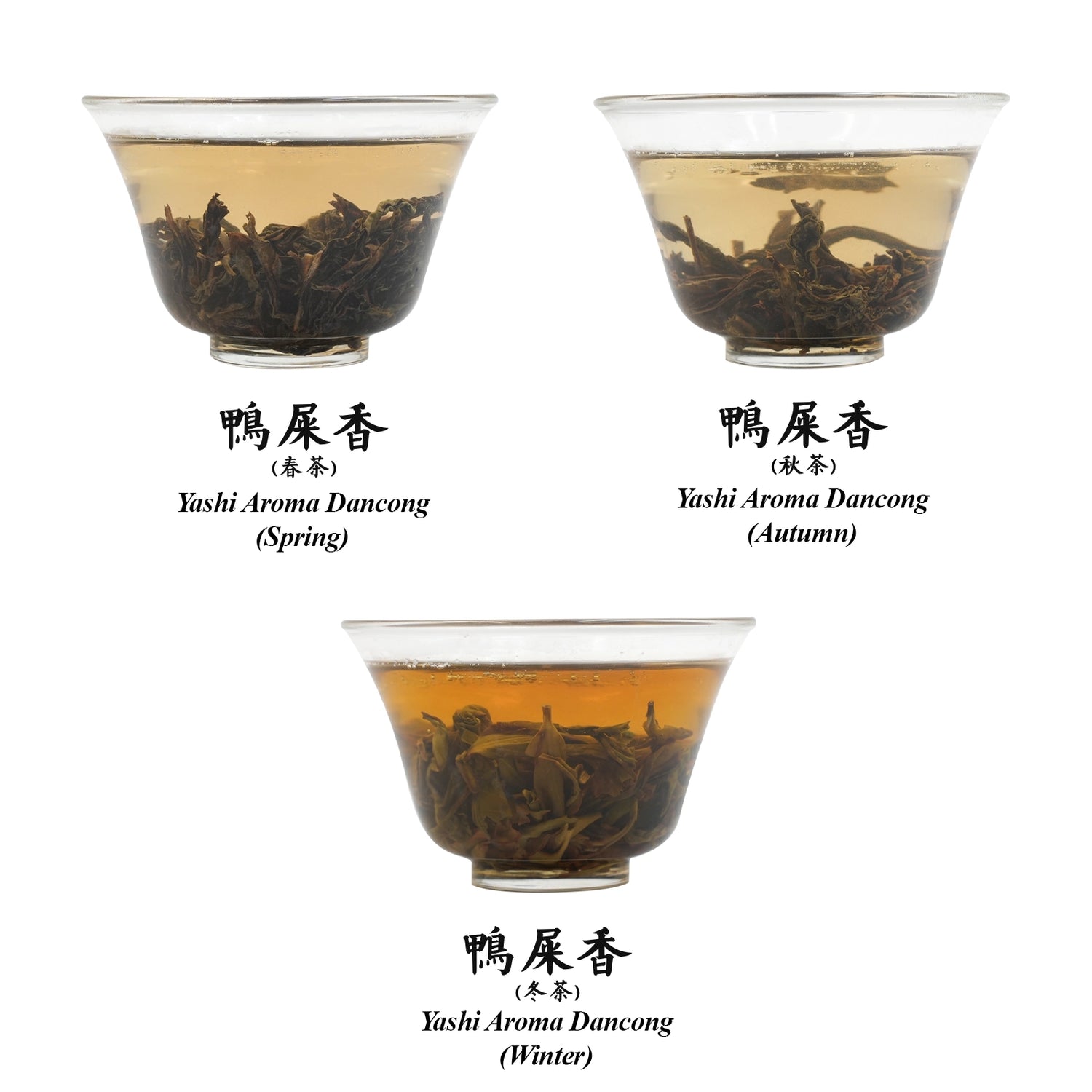 Ya Shi Xiang oolong Comparison Set – Spring, Autumn & Winter Varieties 60g