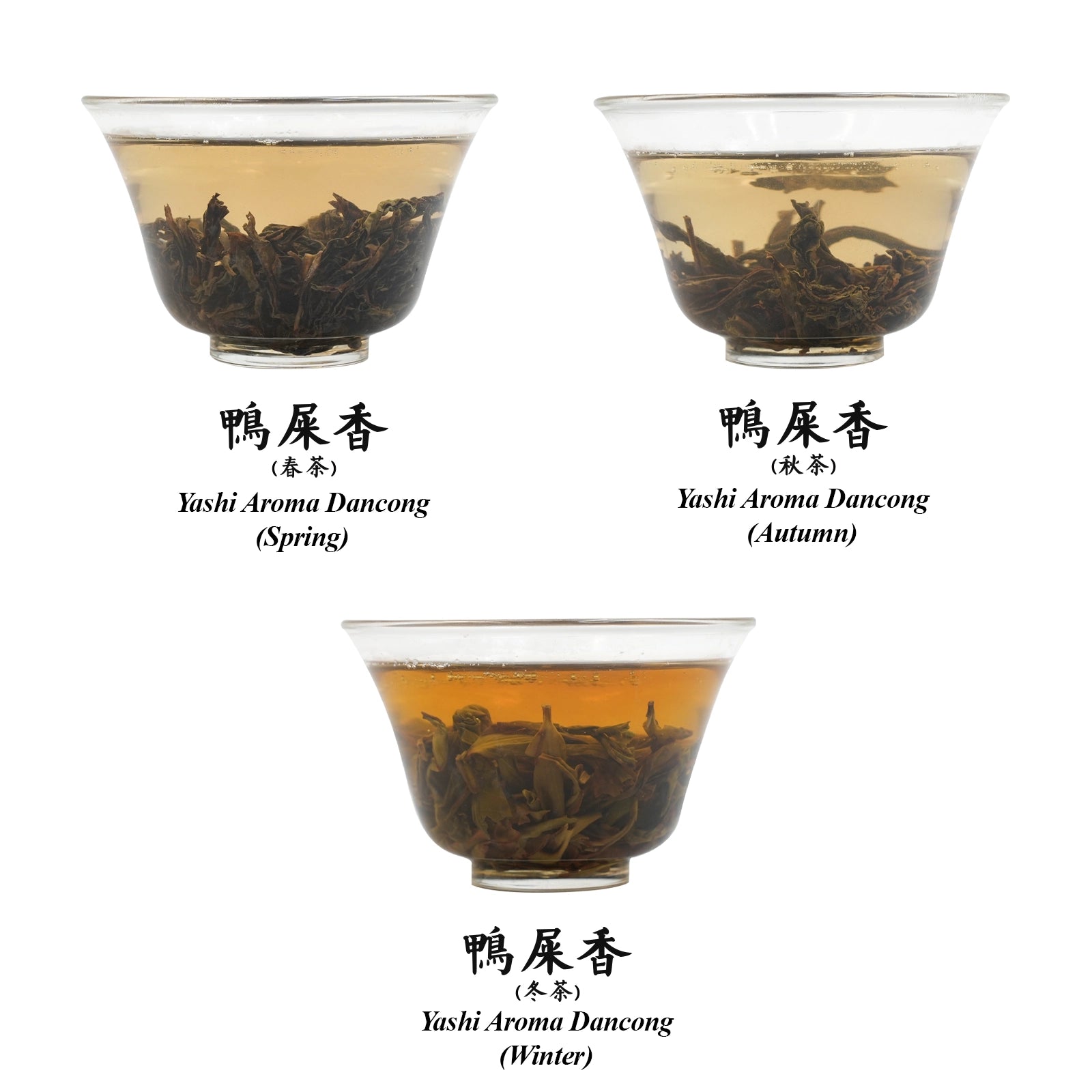 Ya Shi Xiang Dan Cong Oolong Collection by Different Seasons（Spring，Autumn，Winter),Chaozhou City,Guangdong,2024,Medium oxidation (40-50%)