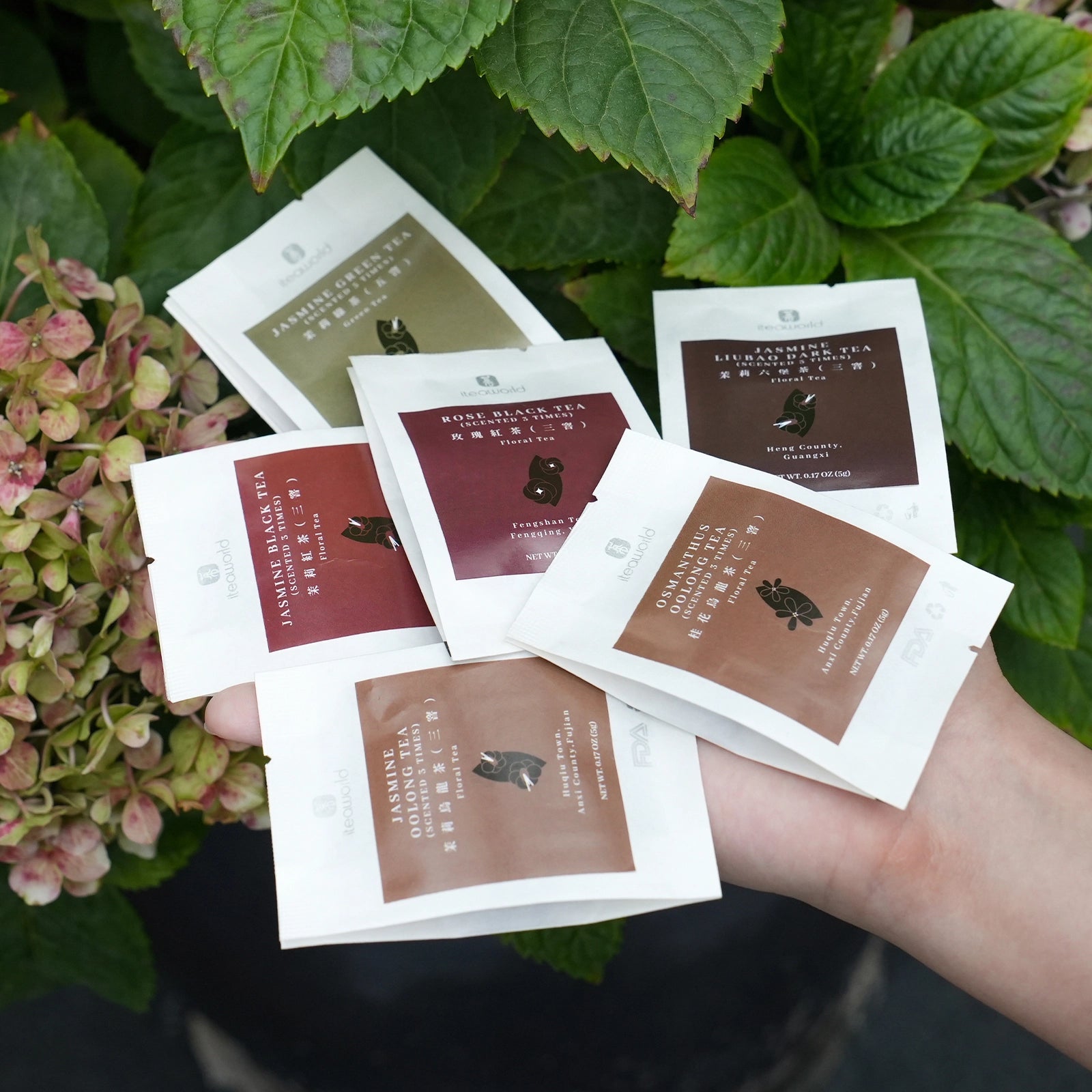 Chinese Scented Tea Collection Includes: Rose Black Tea, Jasmine Black Tea, Osmanthus Oolong, Jasmine Oolong, Jasmine Dark Tea, Jasmine Green Tea (scented 3-5 times).