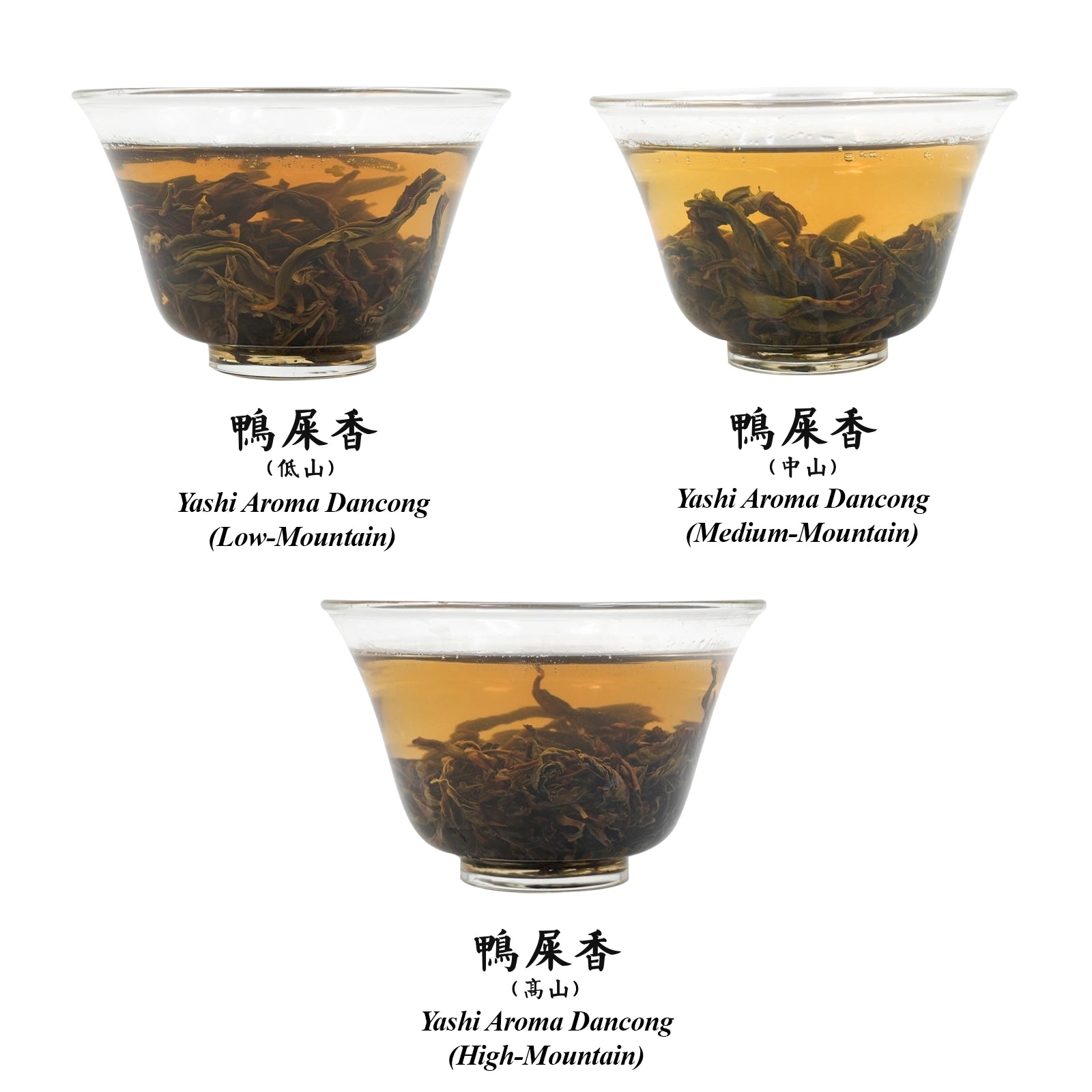 Ya Shi Xiang Dan Cong oolong Collection by Altitudes(duck shit oolong) Guangdong Fenghuang Town,Rich honeysuckle fragrance,2023,