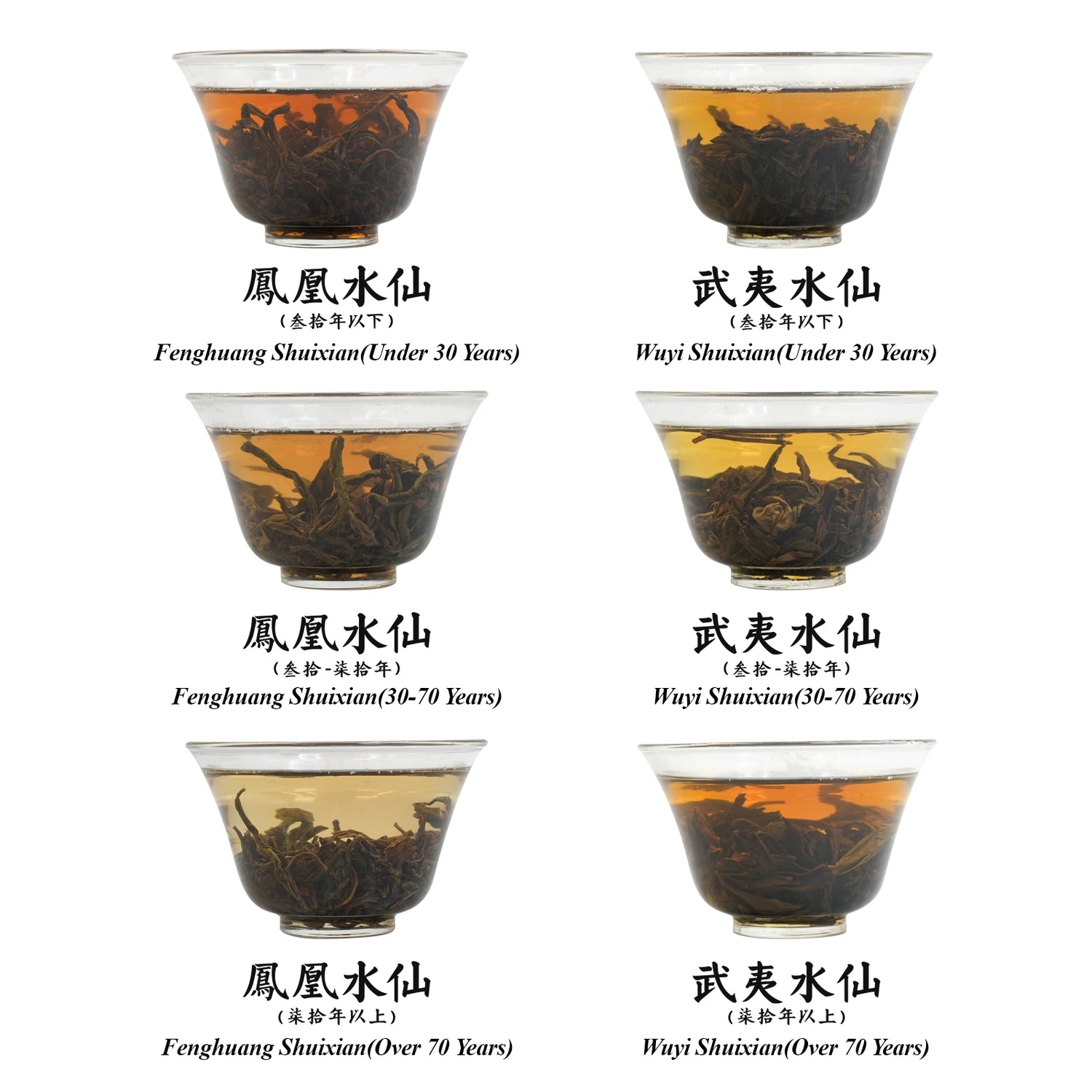 Chinese Oolong Tea Comparison Set: 6 Tree-Aged Blends (Fenghuang & Wuyi Shui Xian)90g