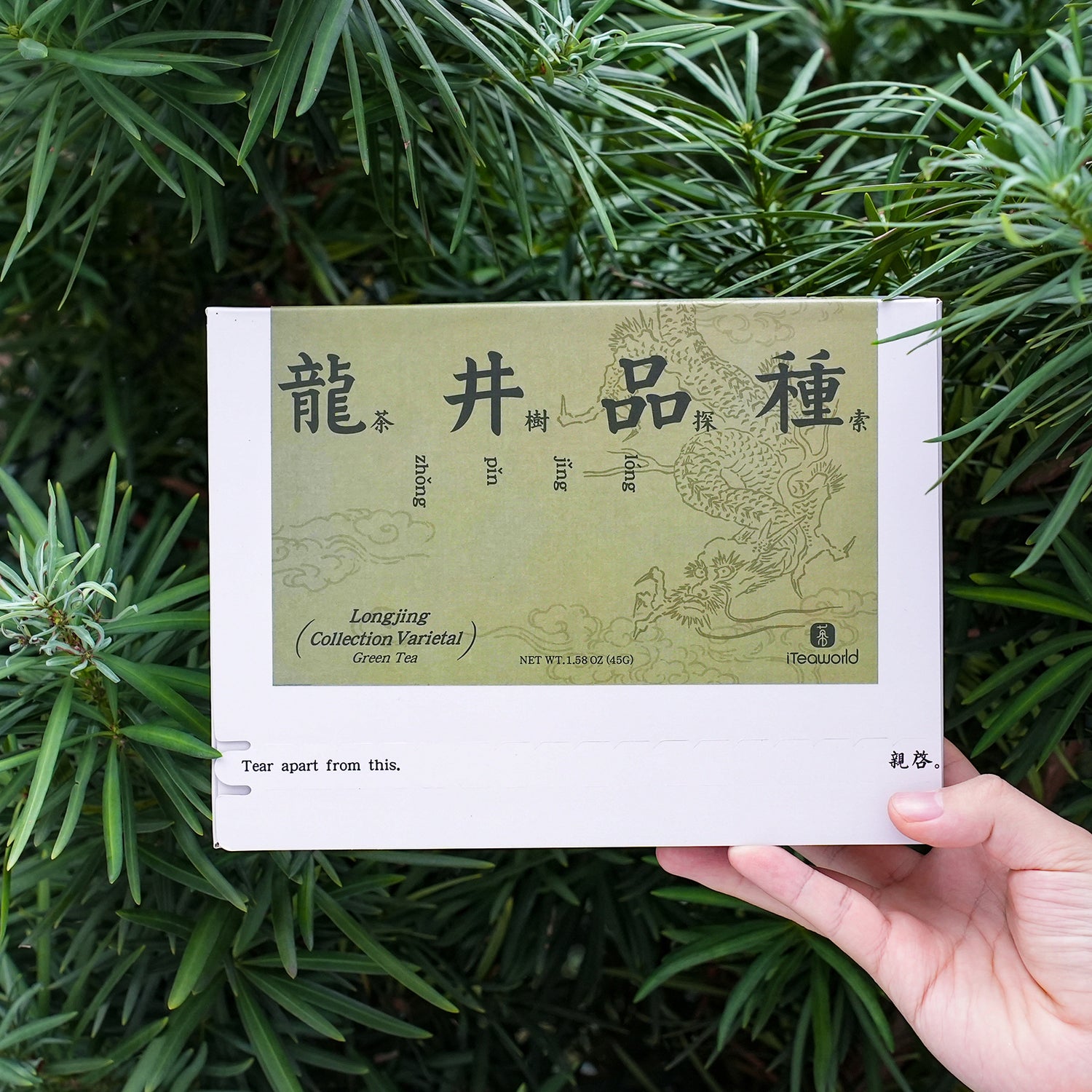 Longjing Green Tea Comparison Set: 3 Premium Varieties 60g