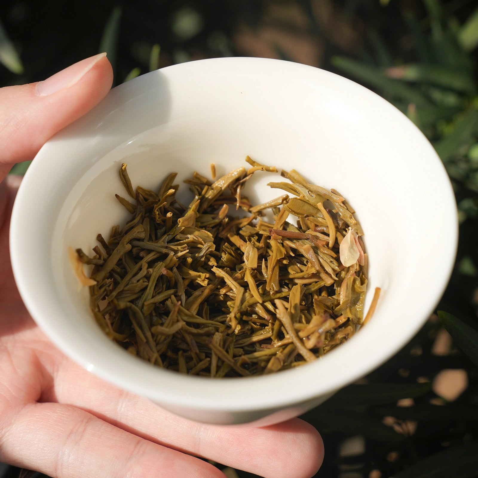 Chinese Scented Tea Collection Includes: Rose Black Tea, Jasmine Black Tea, Osmanthus Oolong, Jasmine Oolong, Jasmine Dark Tea, Jasmine Green Tea (scented 3-5 times).