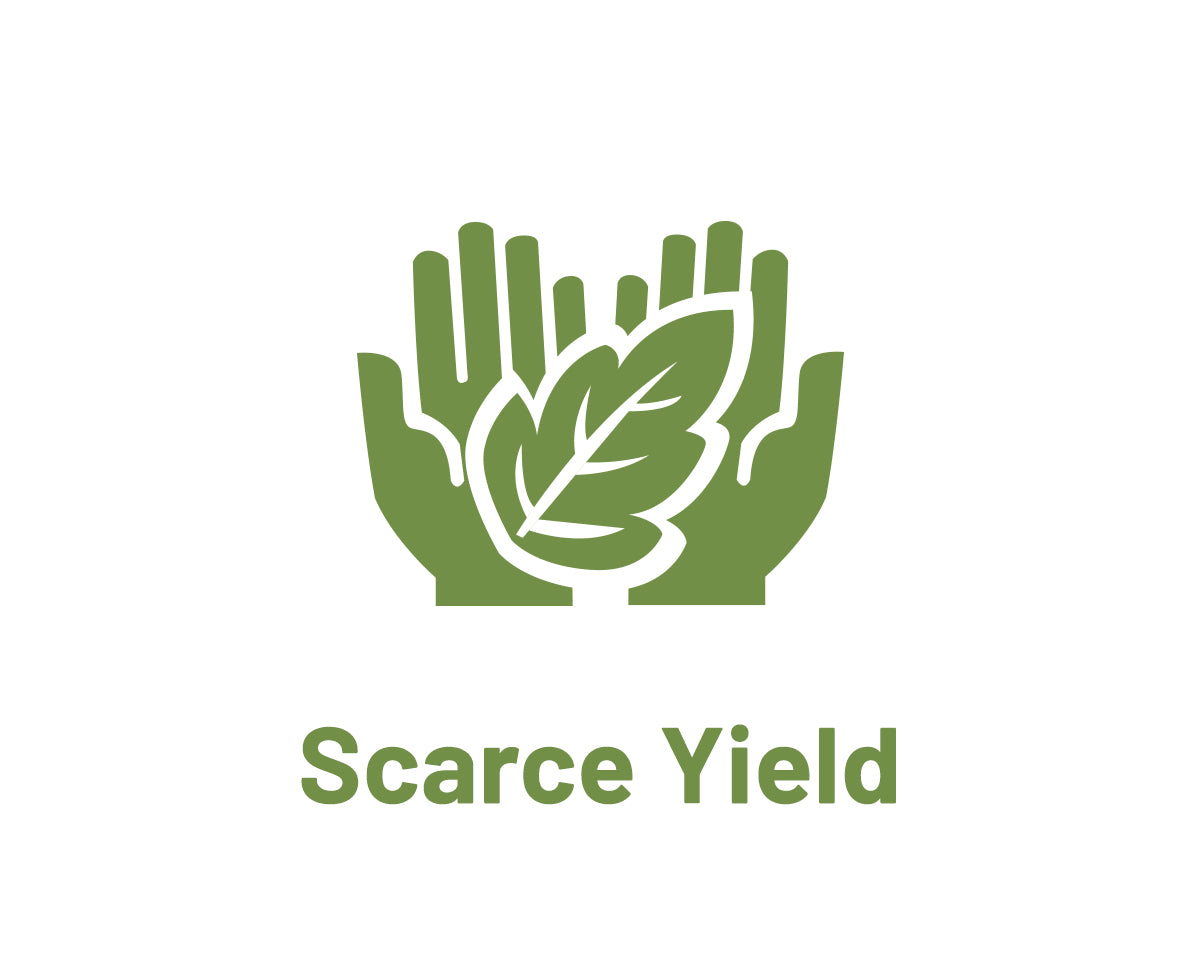 Scarce Yield