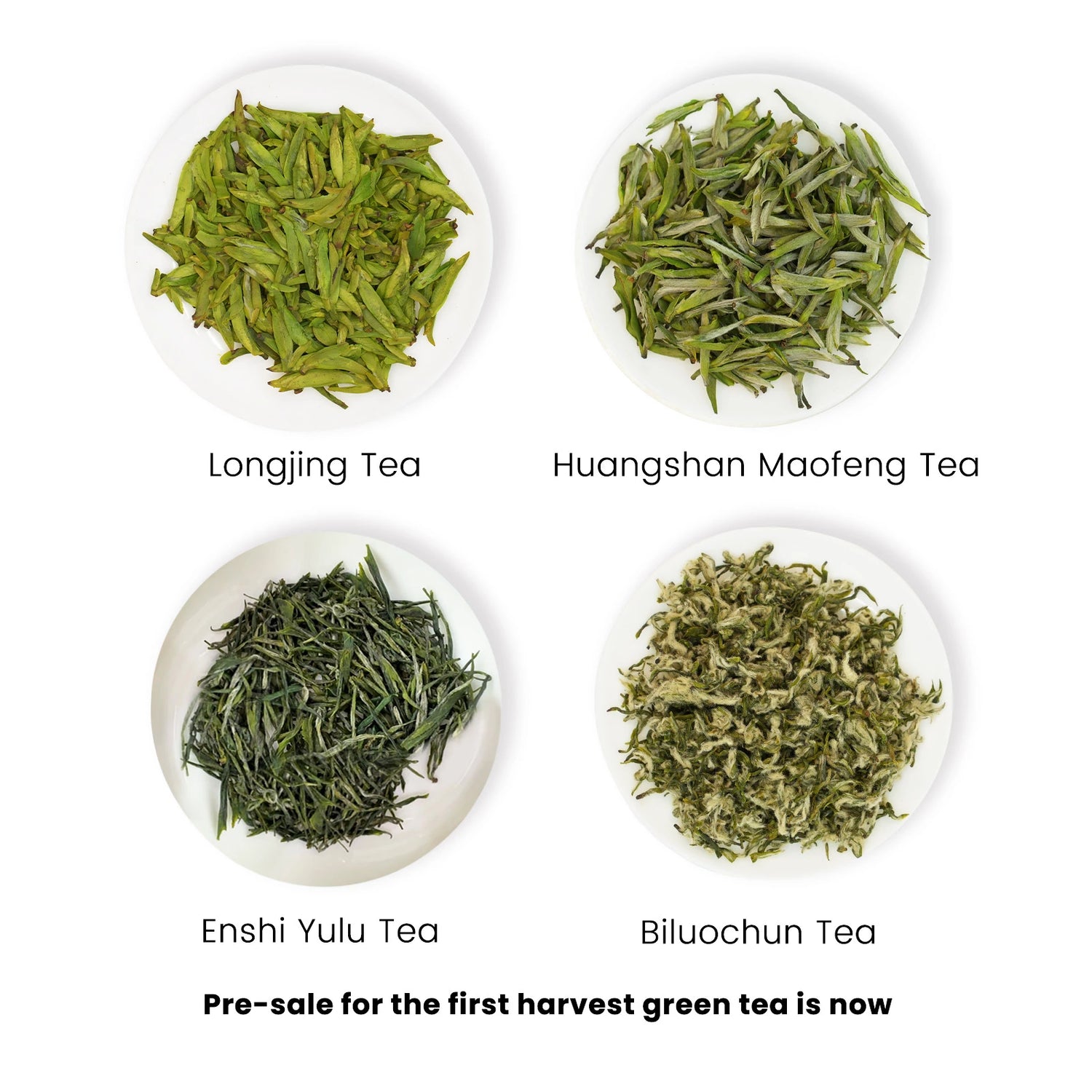 2025 First Flush Spring Tea Collection (Pre-Sale)