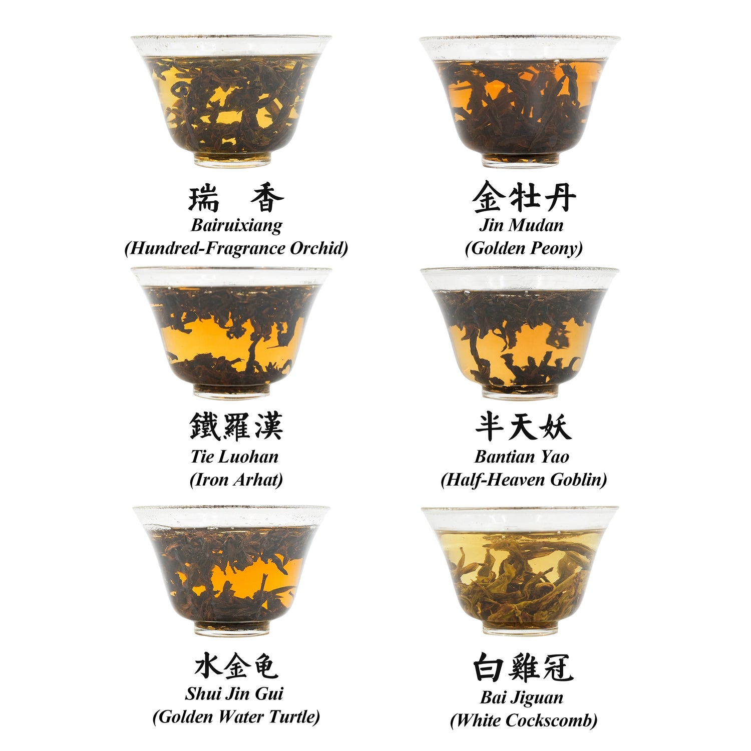 Wuyi Rock Tea Rare Cultivar Collection--Heritage & Innovation 100g