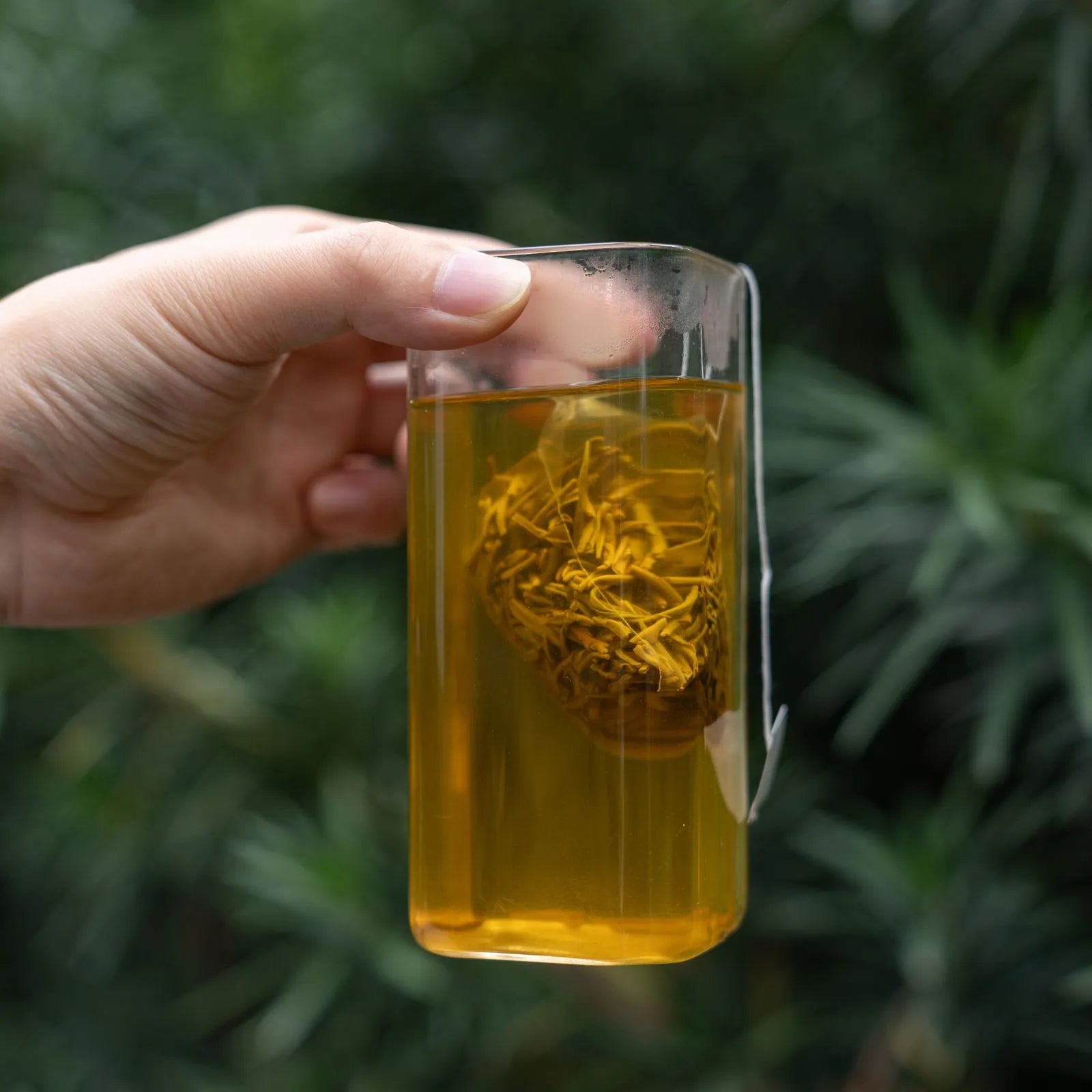 Jasmine Bai Hao | Traditional 9-Scent Jasmine Green Tea – Fresh, Abundant Floral Aroma with a Sweet, Smooth, and Lasting Aftertaste | 1000m High Mountain Tea from Northern Fujian | Summer Harvest July 2023 | 3.5oz (100g) - Top Choice of Jasmine Green Tea