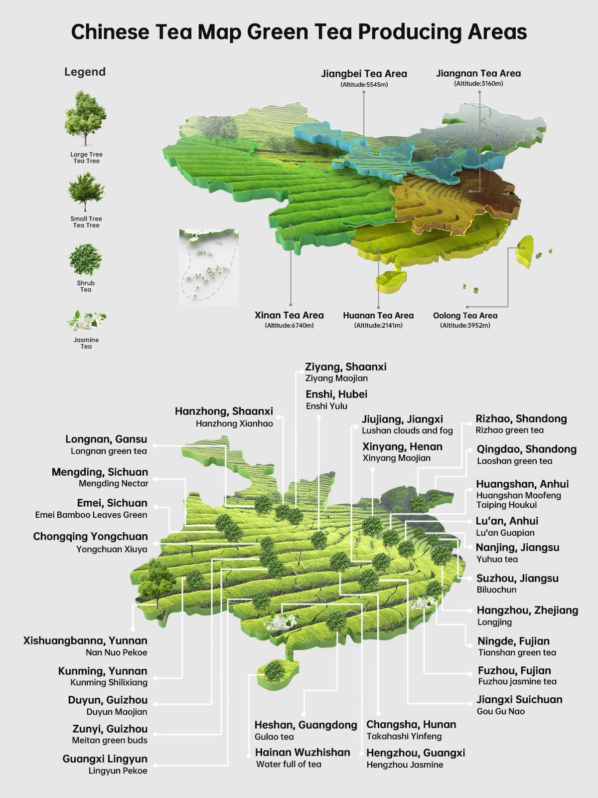 Discover Chinese Green Teas | Curated Selections for Every Taste