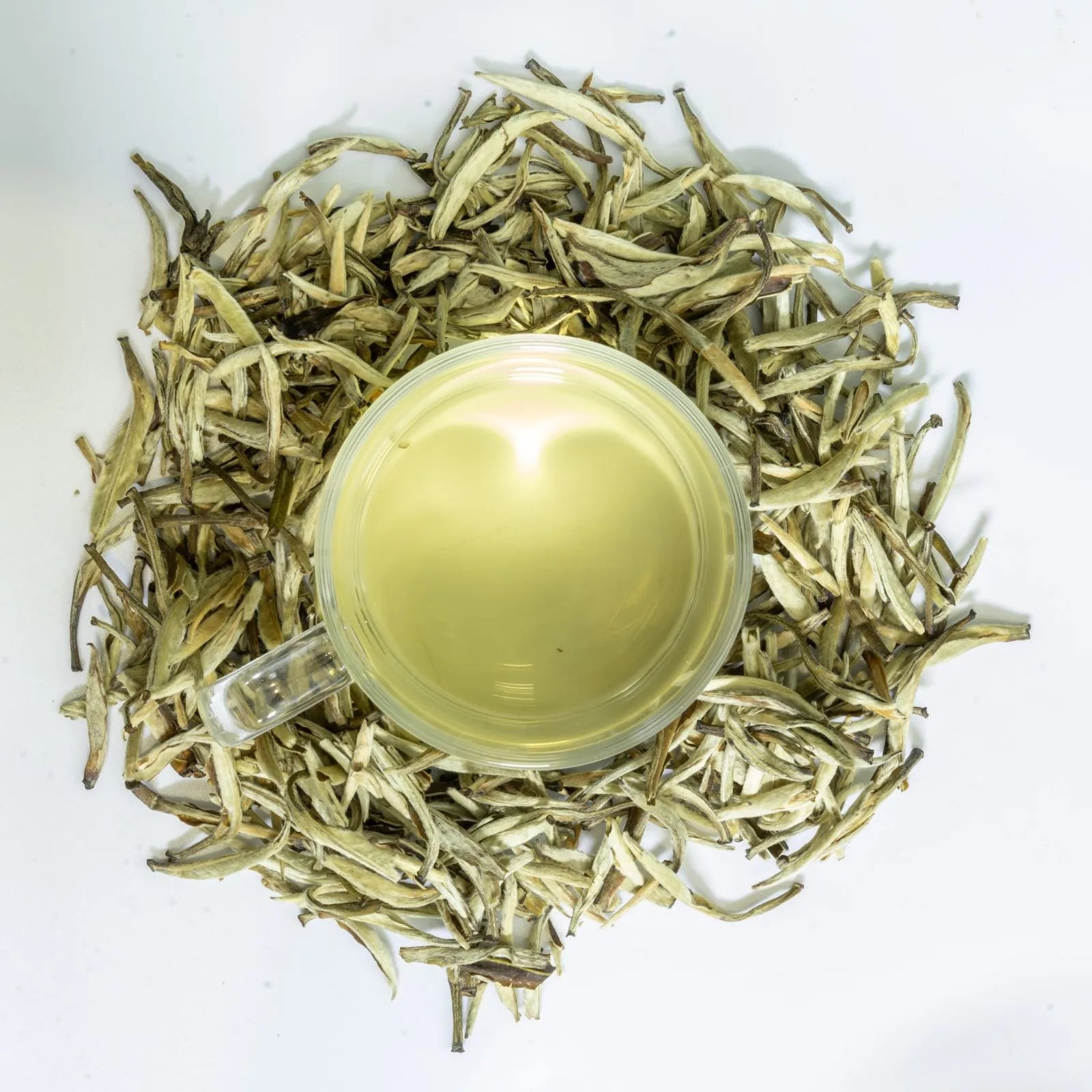 Jasmine Zhen Wang | Traditional 7-Scent Jasmine Tea (Pure buds) – Fresh, Intense Floral Aroma with Smooth, Sweet | 1200m High Mountain Tea from Minle Township, Puer, Yunnan | July 2023 Summer Tea | 3.5oz (100g) - Tasting Grade For Afternoon