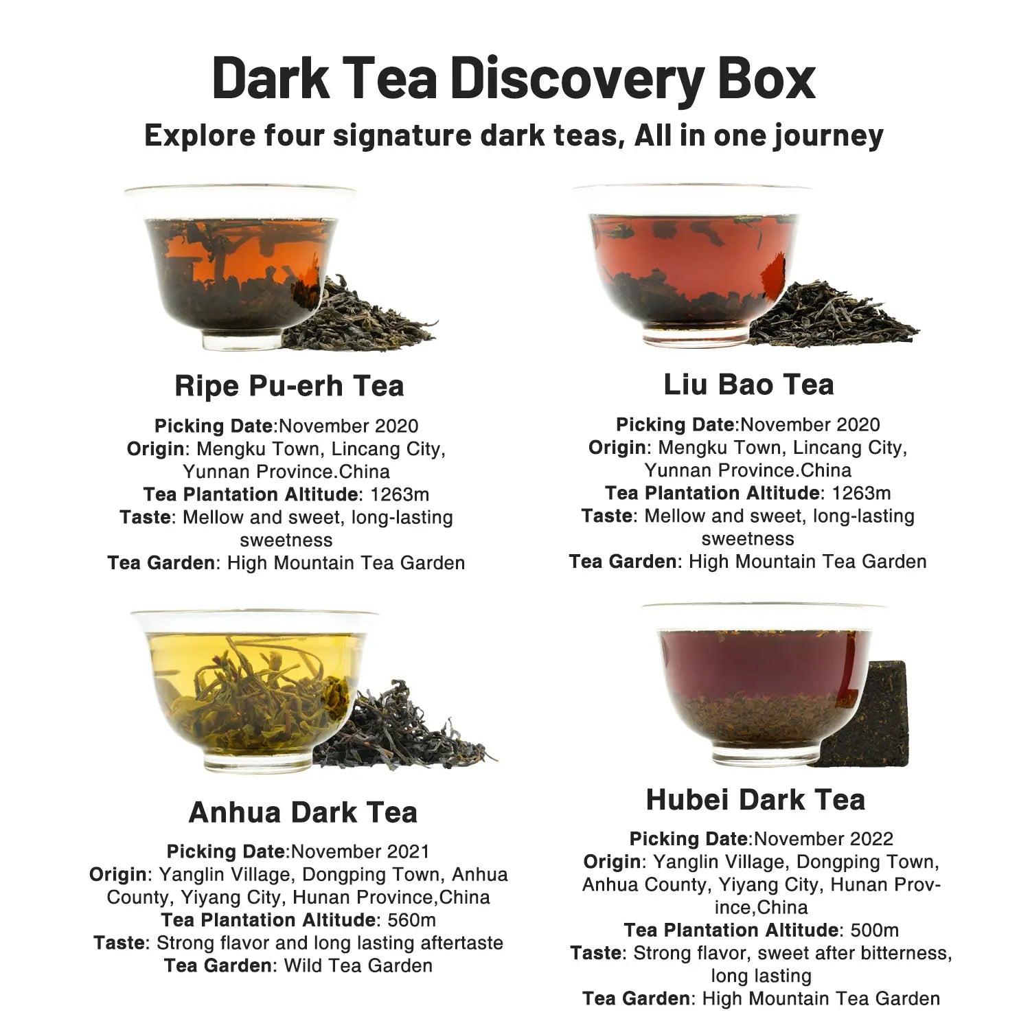 Chinese Dark Tea Sampler