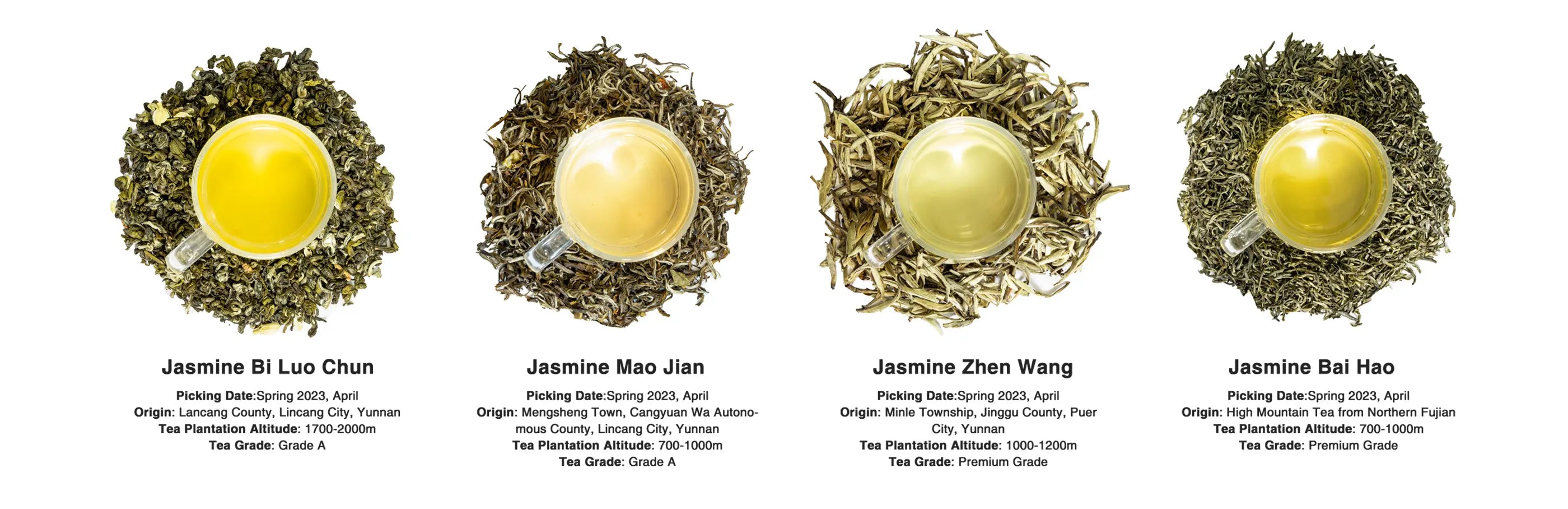 4 type of Jasmine tea