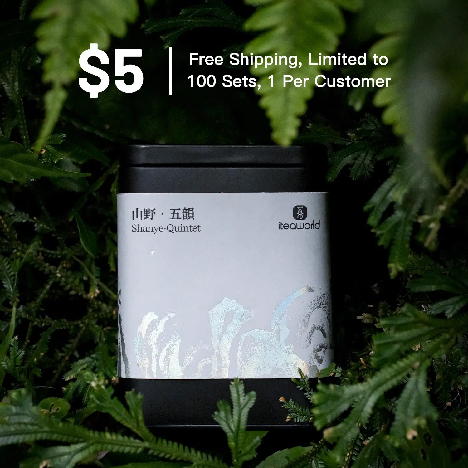 Indulge in Pure Health: Wild Tea Assortment | Organic Loose Leaf Tea