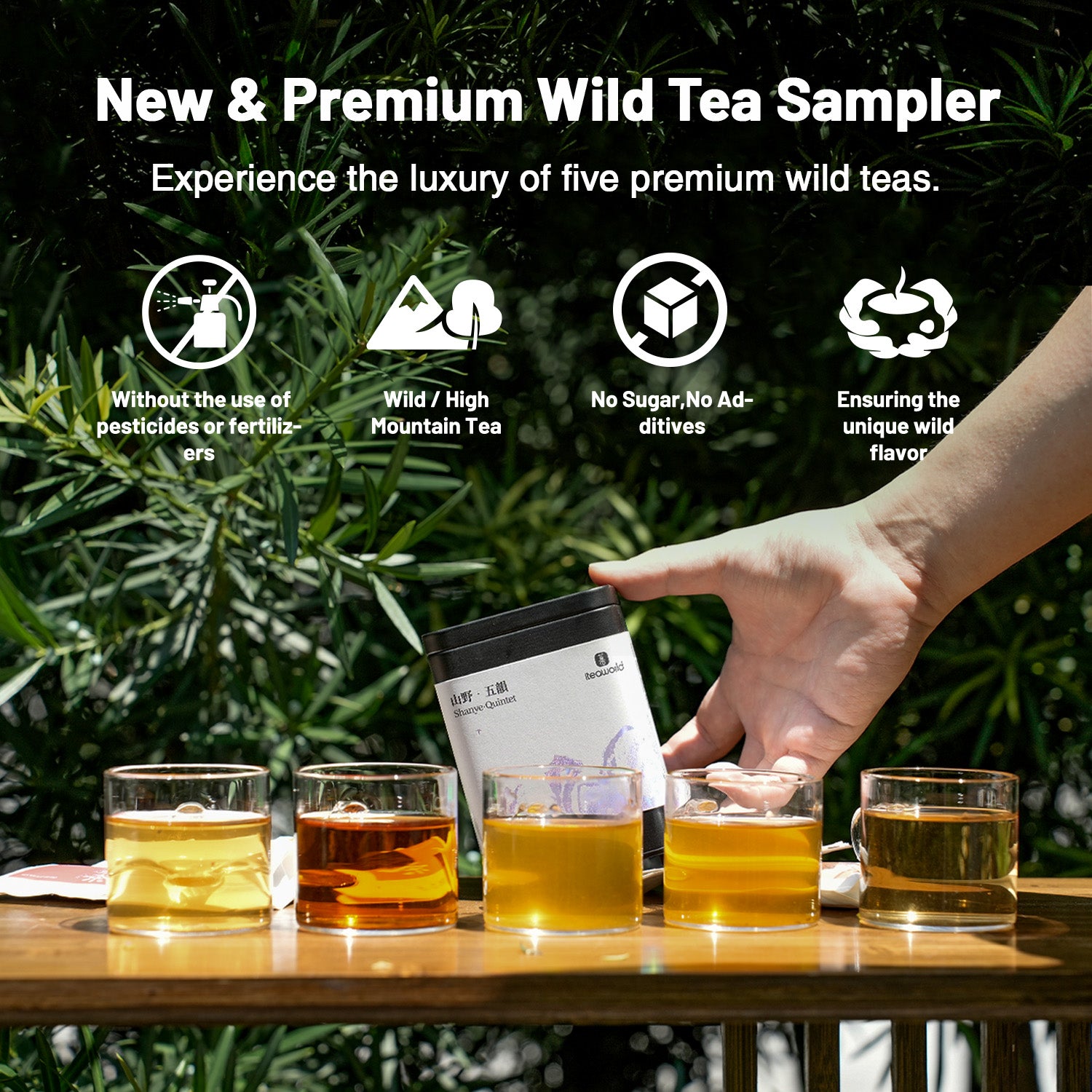 Chinese Wild Tea Sampler: 5 Flavors for $5 with Free Shipping