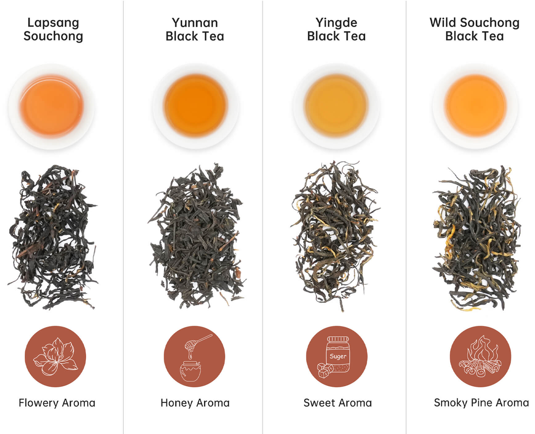 Classic-Tea-Collection-black-Tea-aroma
