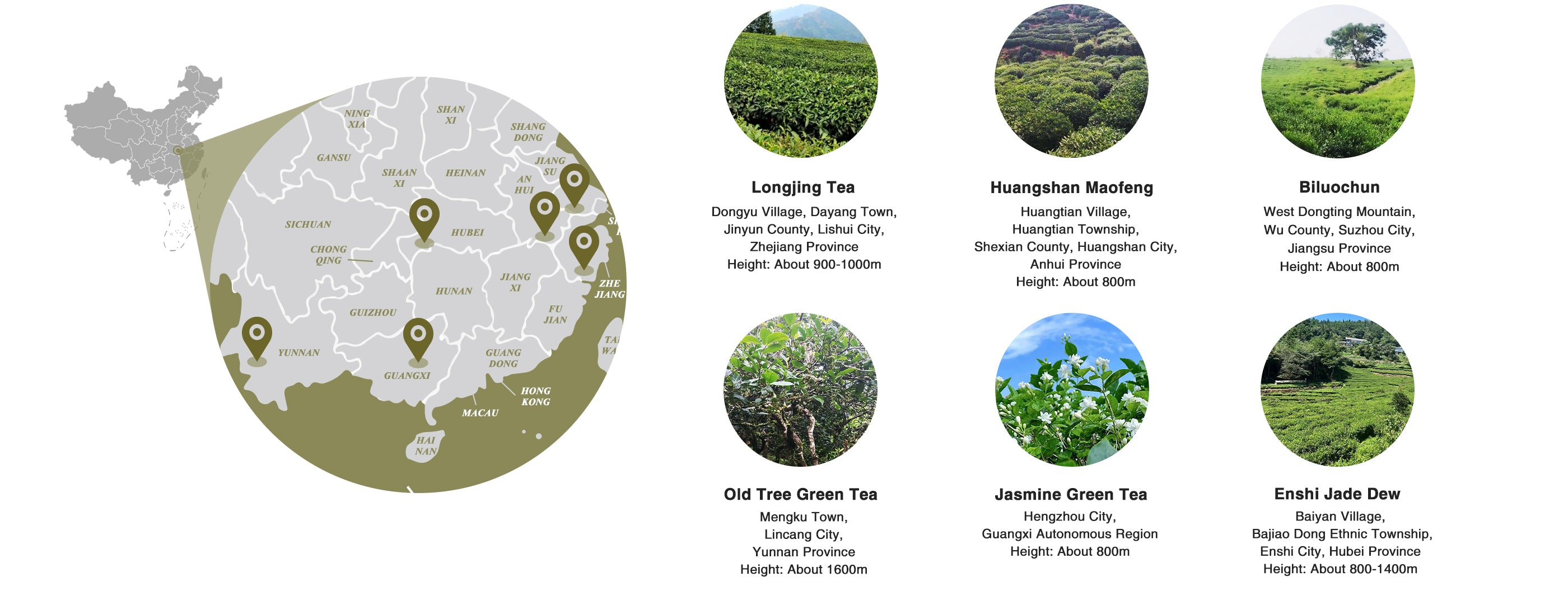 Information-on-the-origin-and-altitude-of-green-tea-loose-leaf-tea
