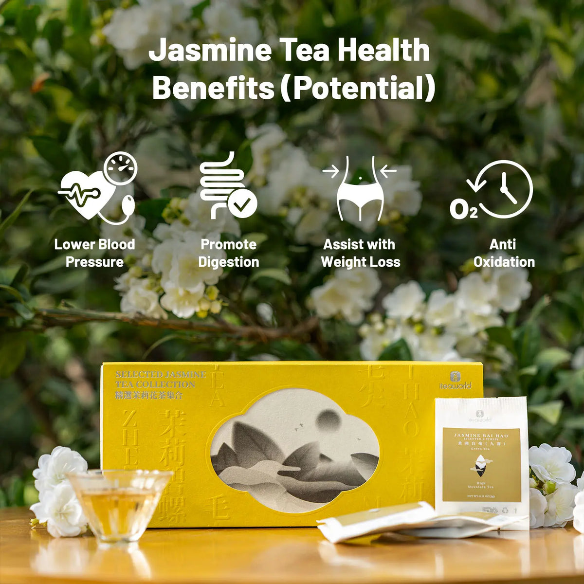 Nazmin Tea Chinese Jasmine Tea Sampler | 4 Jasmine Loose Leaf Tea - iTeaworld