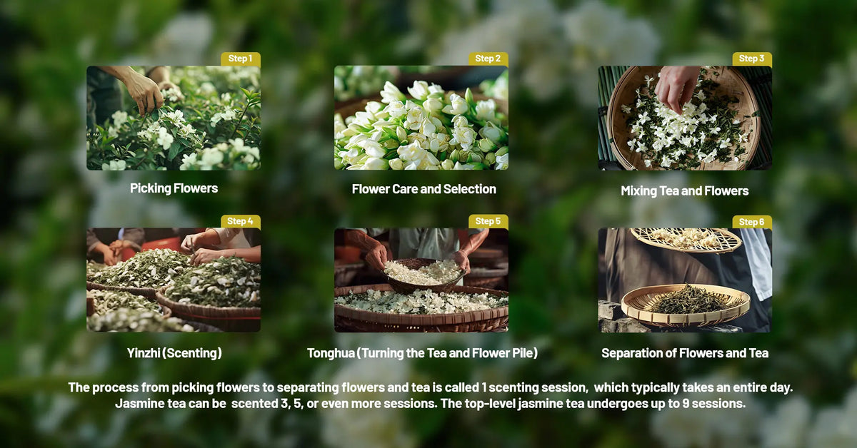 Nazmin Tea Chinese Jasmine Tea Sampler | 4 Jasmine Loose Leaf Tea - iTeaworld