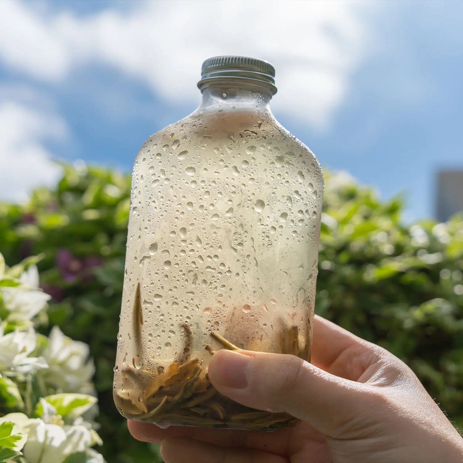 Jasmine Tea cold brew