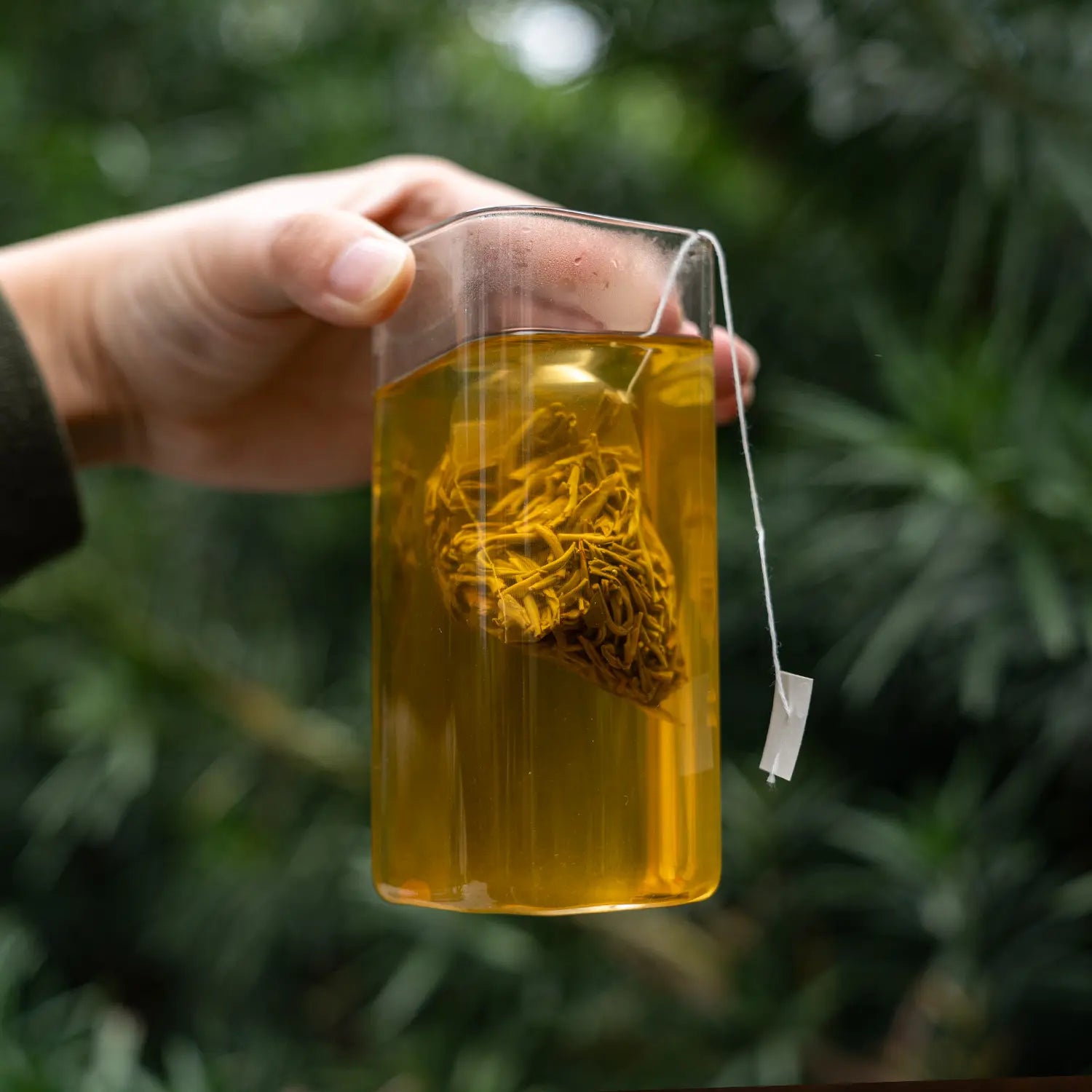 Jasmine tea use tea bag