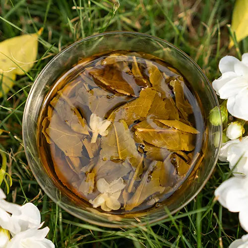 loose leaf Jasmine Tea