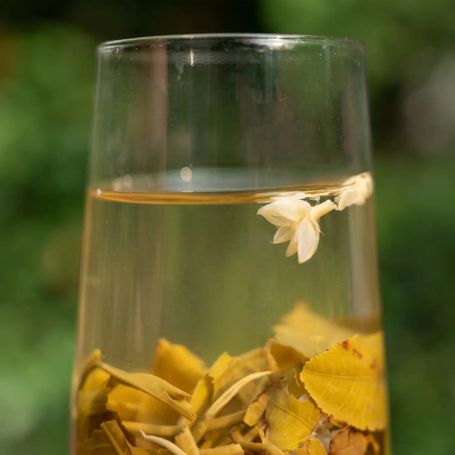 Natural Sweetness No-Added Sugar Jasmine tea