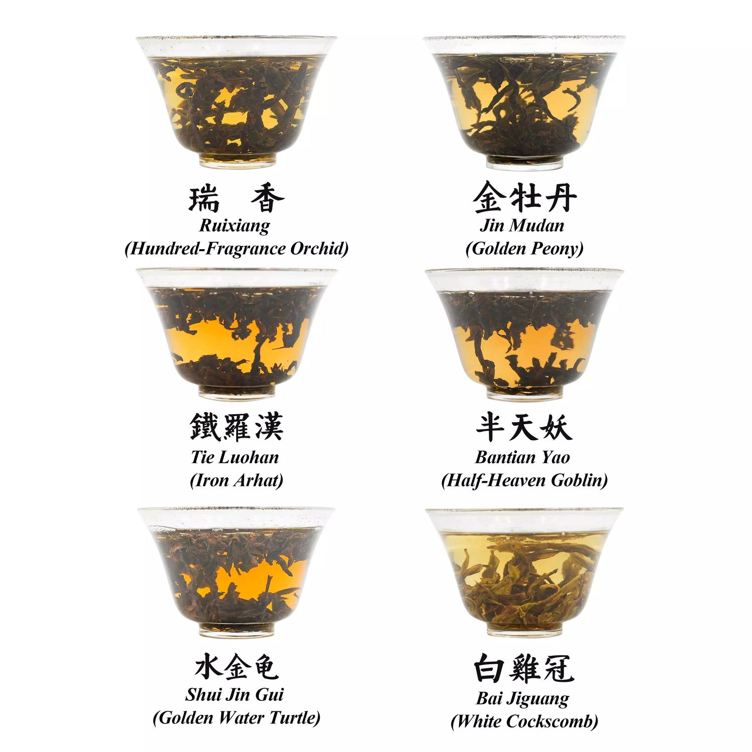 Wuyi Rock Tea Rare Cultivar Collection--Heritage & Innovation 100g