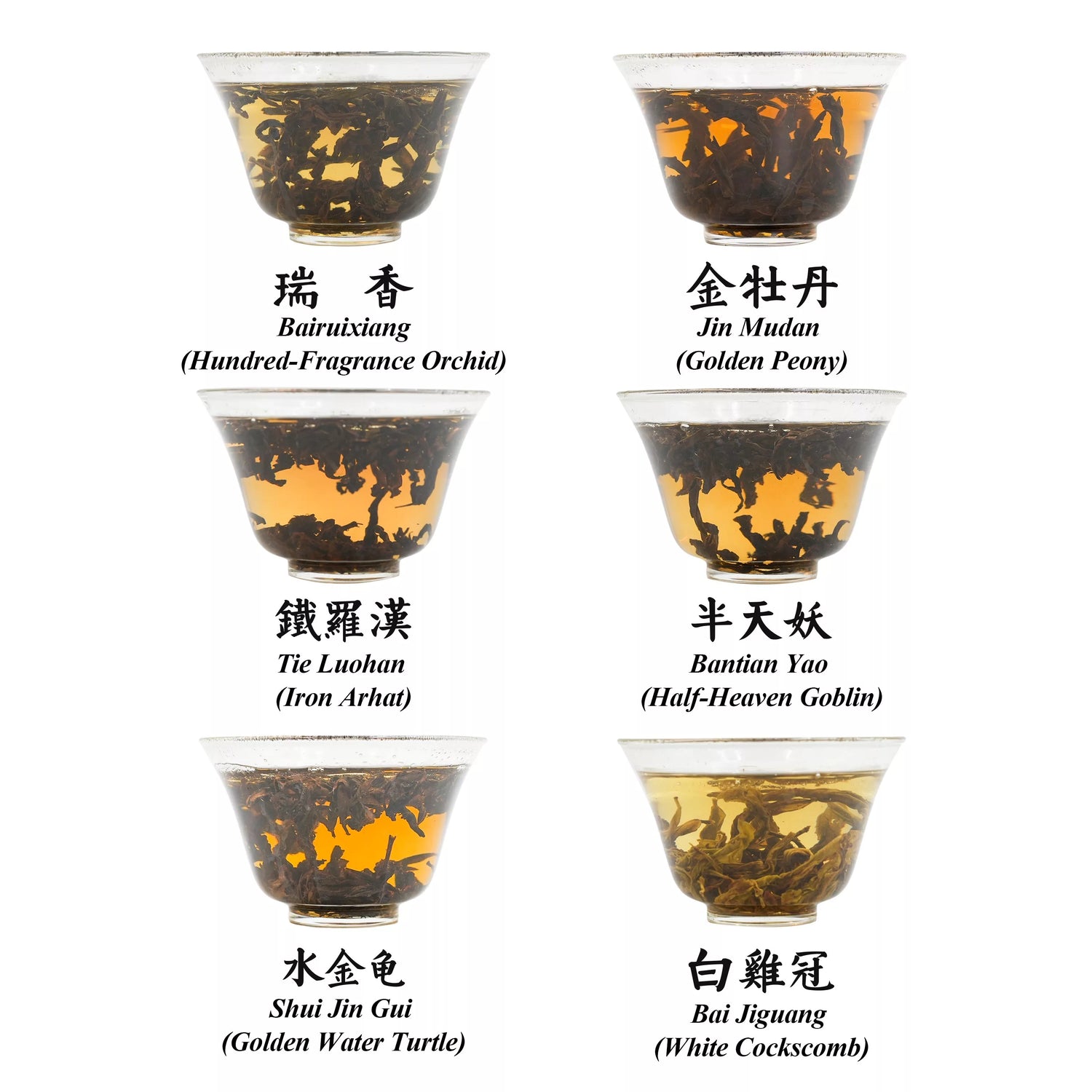Wuyi Rock Tea Rare Cultivar Collection--Heritage & Innovation 100g