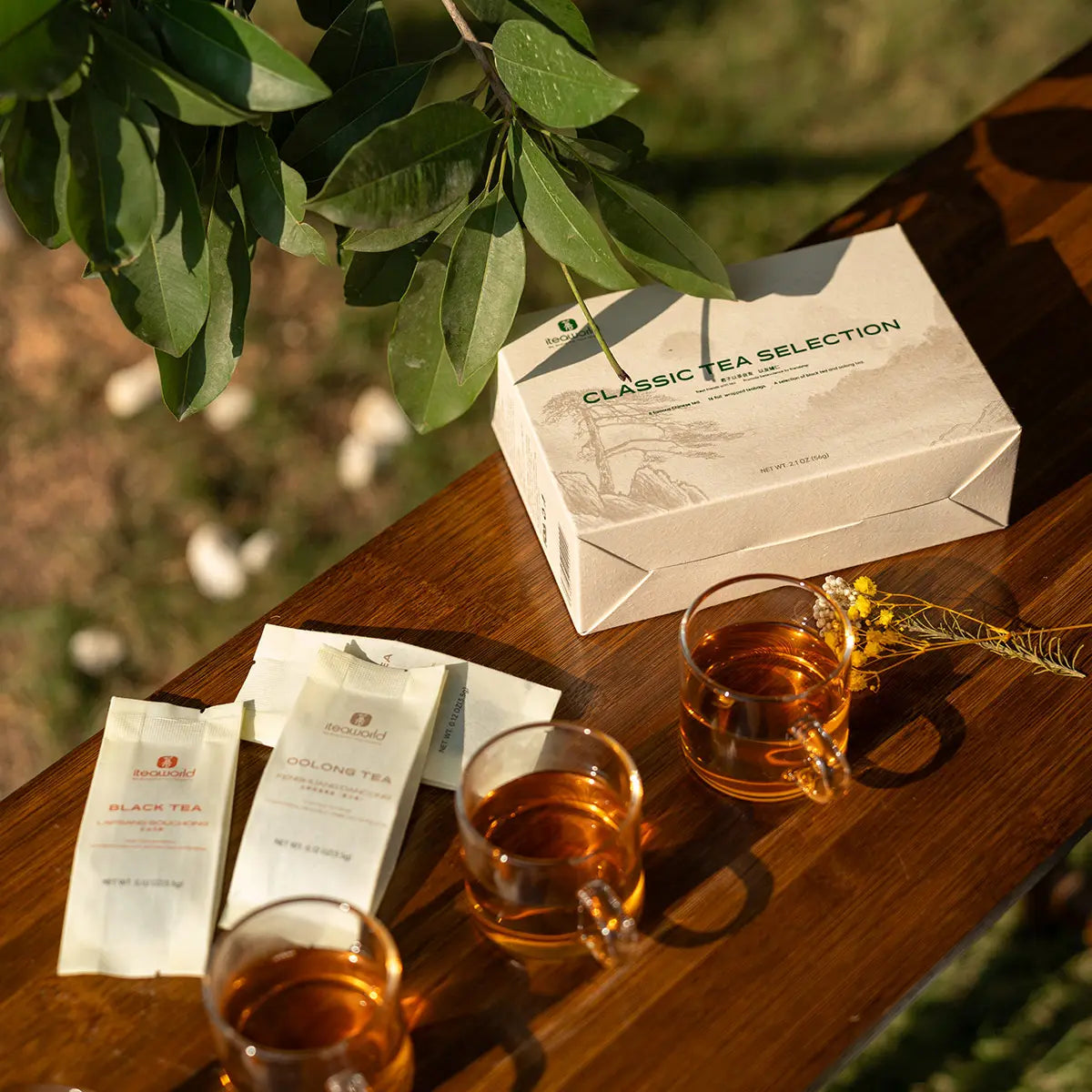 How to Brew Green Tea Correctly - Step by Step with Pictures – iTeaworld