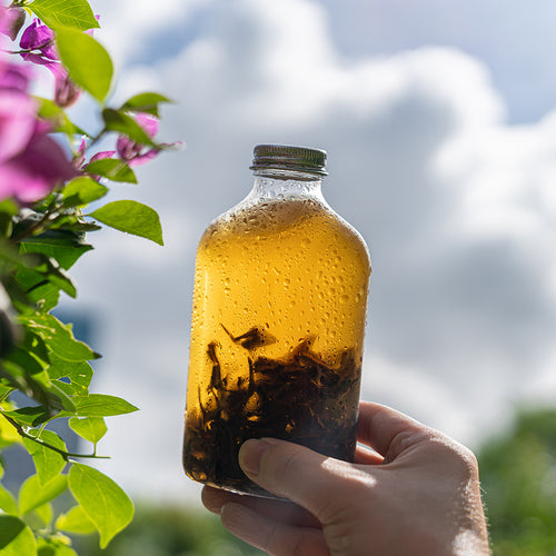 Cold Brew Tea Best Cold Brew Loose Leaf Tea Starter Set