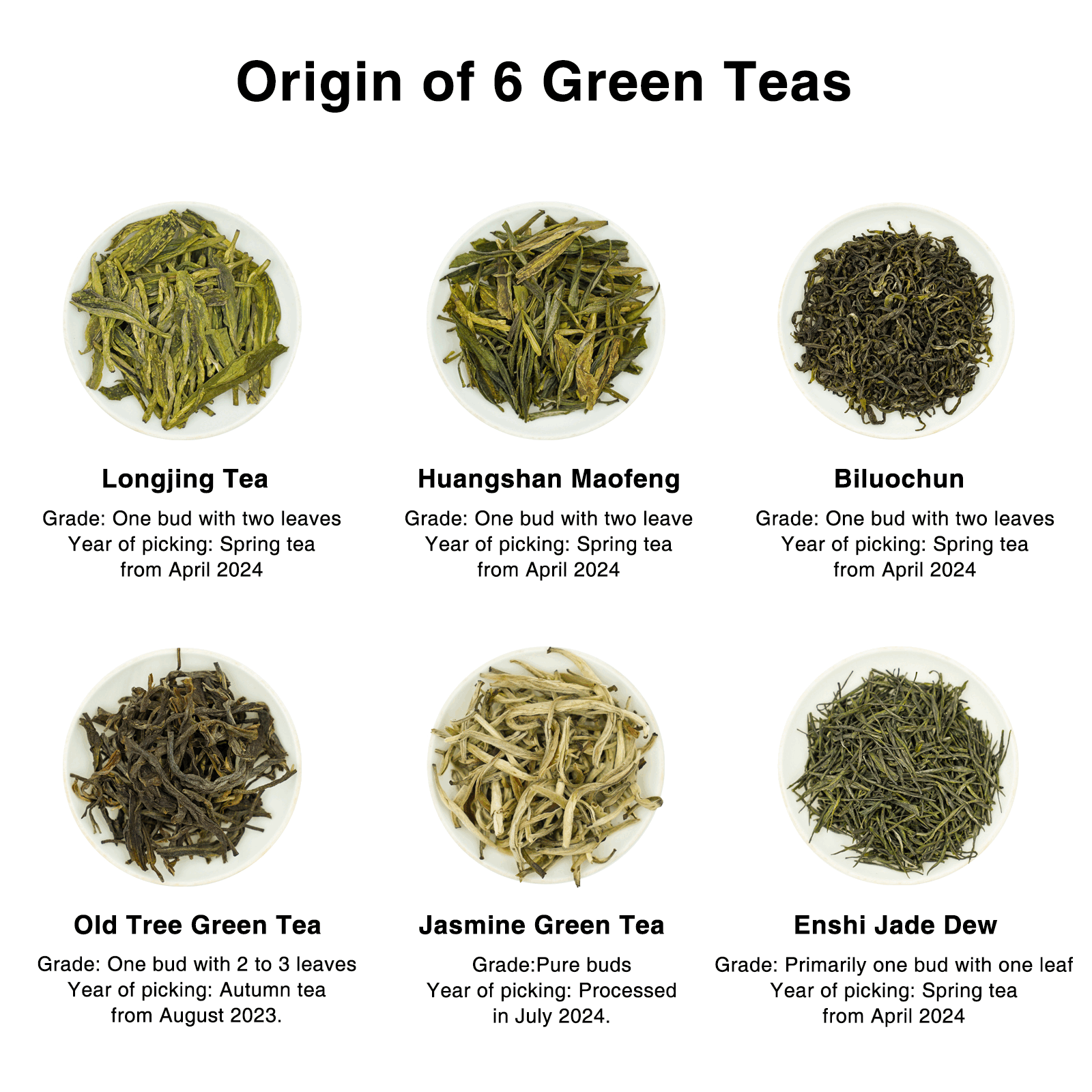 2024 Chinese Green Tea Sampler