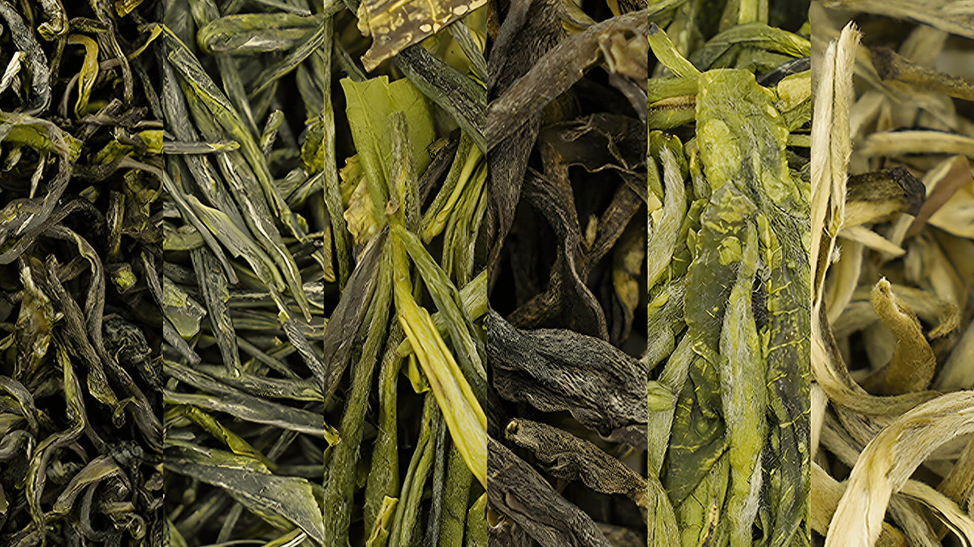 greeen-tea-selection-iteaworld-loose-leaf