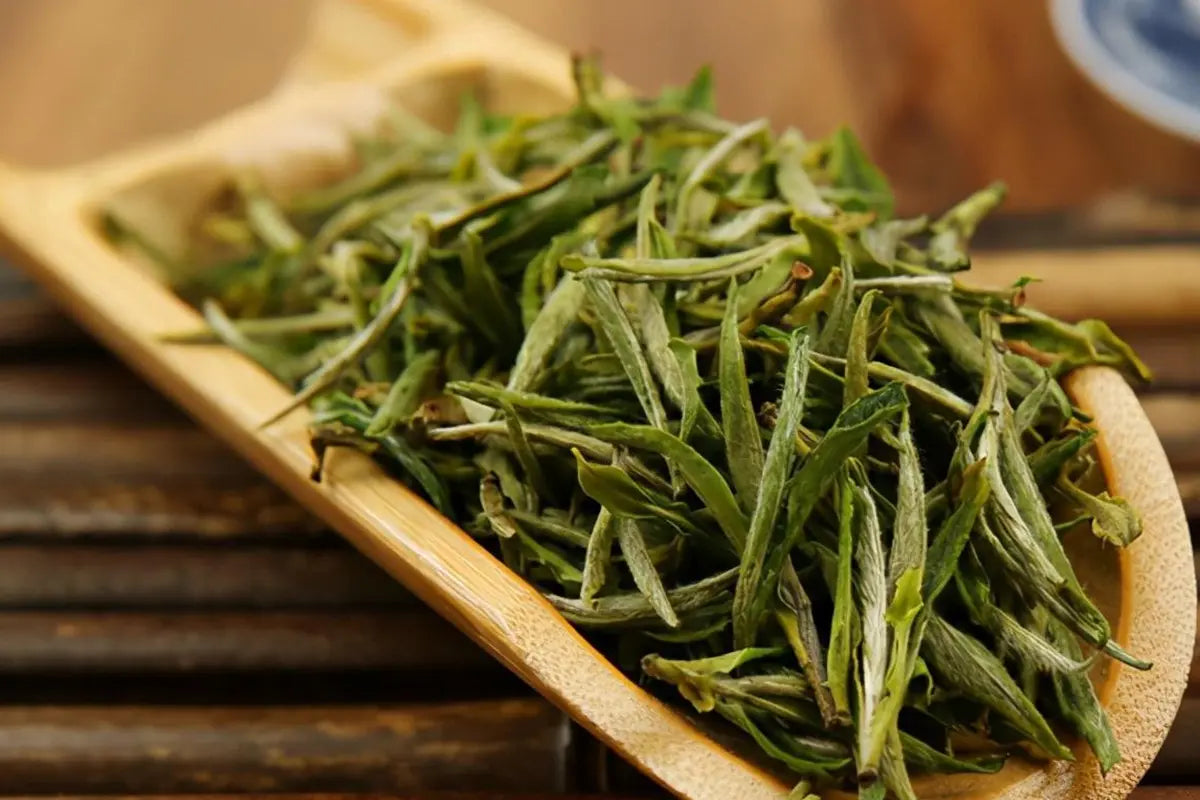 huangshanmaofeng green tea