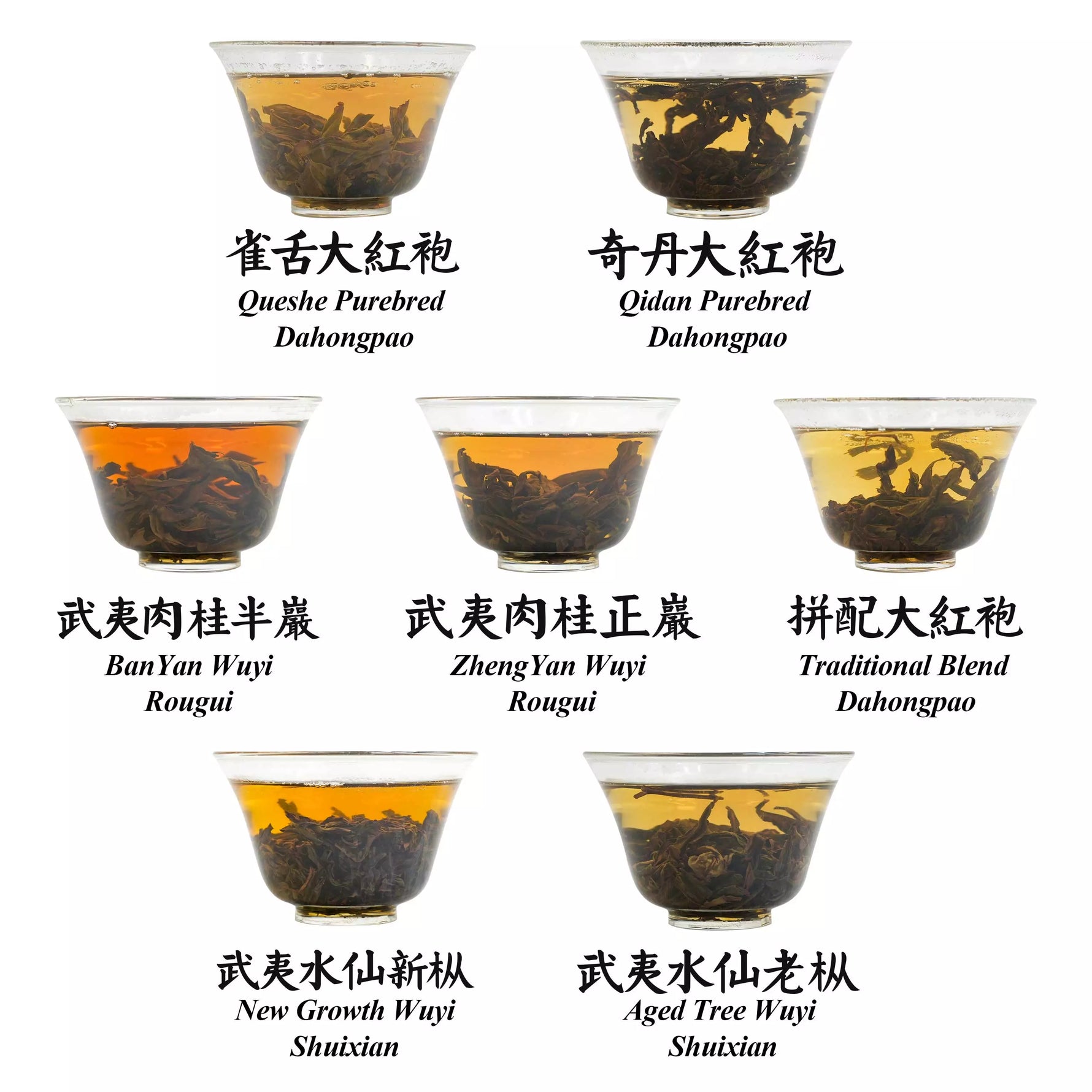iTeaworld-Mainstream Wuyi Rock Tea Collection